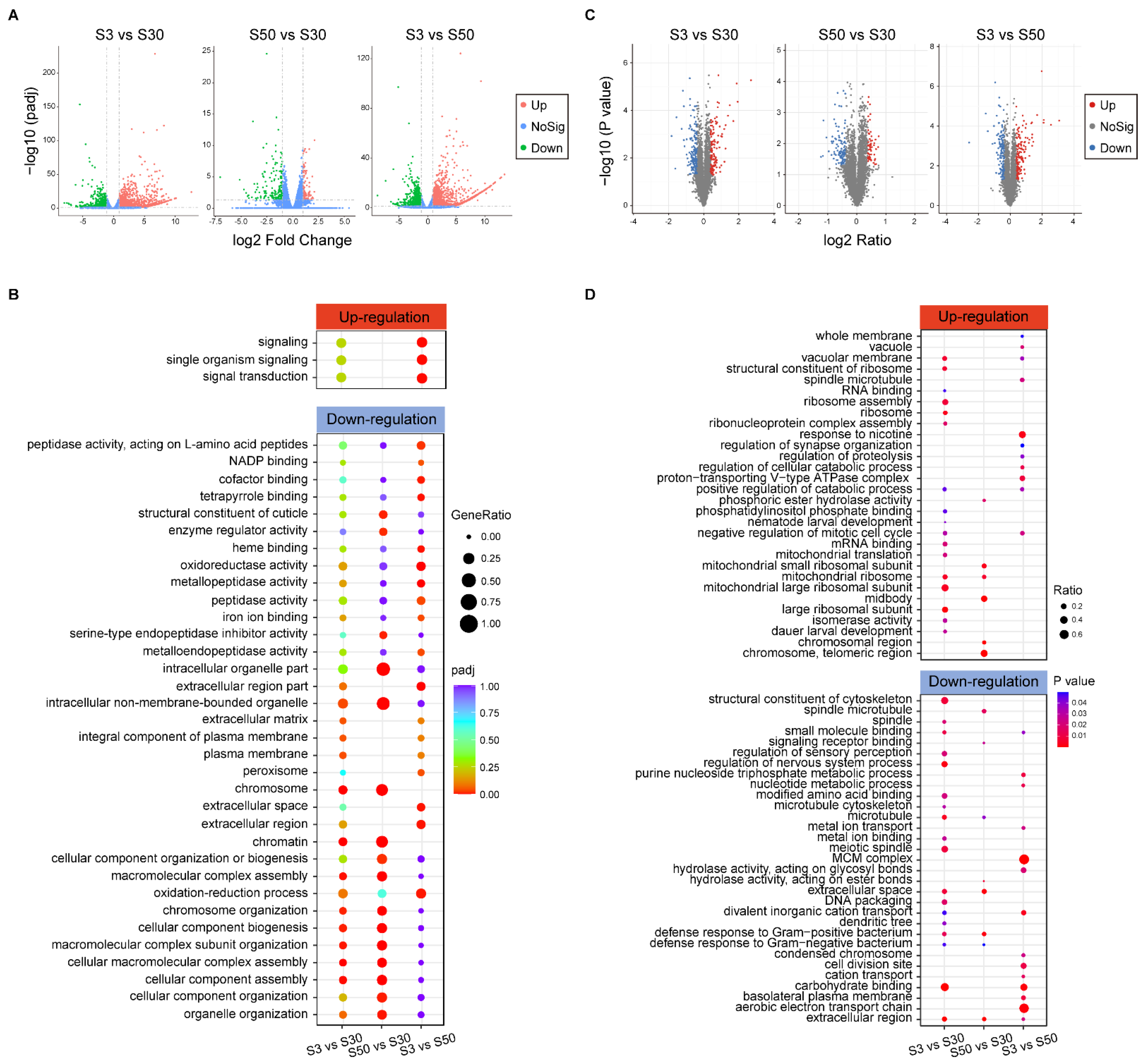 Genes 13 00651 g002 Genes 13 00651 g002