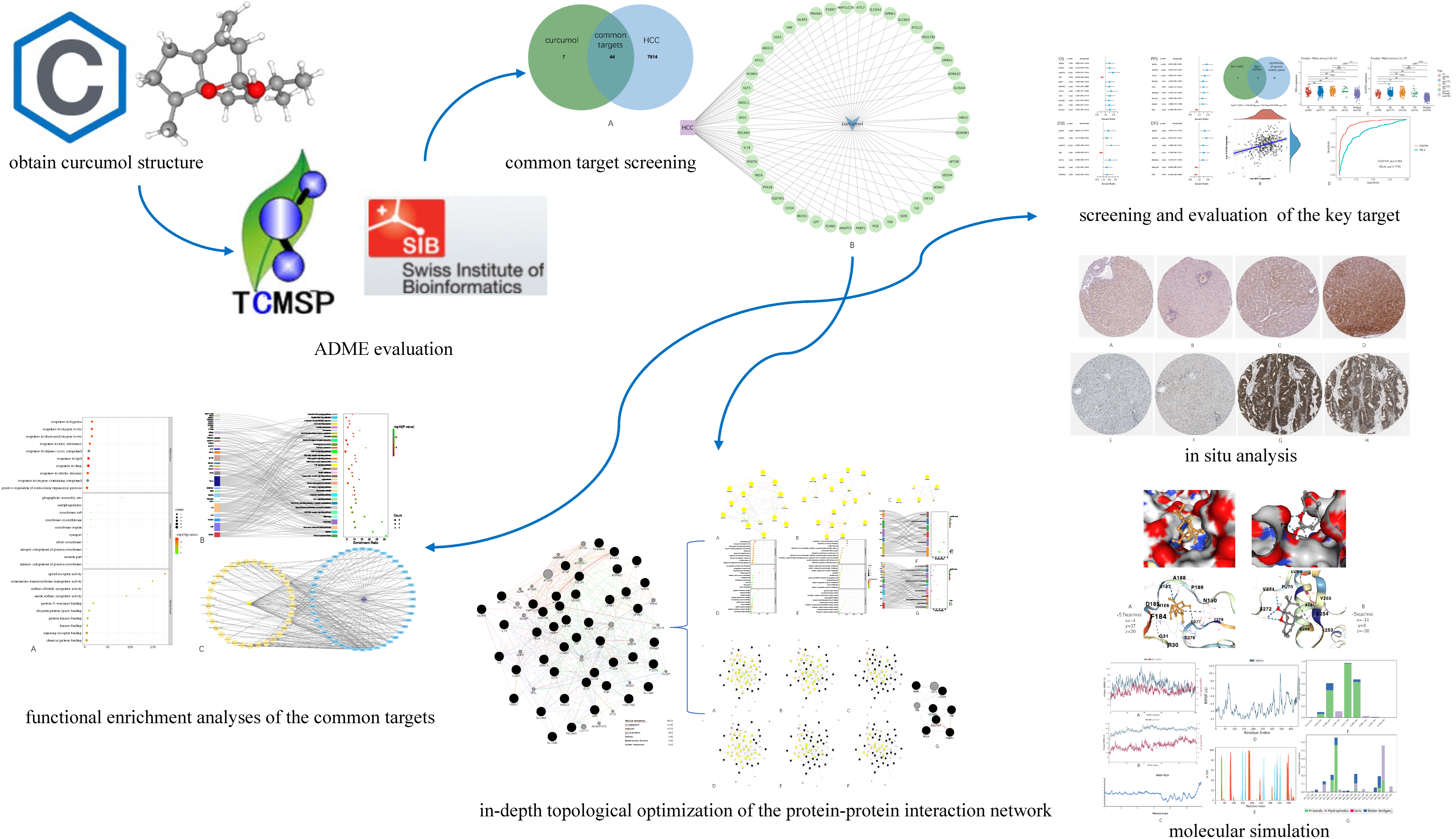 Genes 13 00653 g001 550