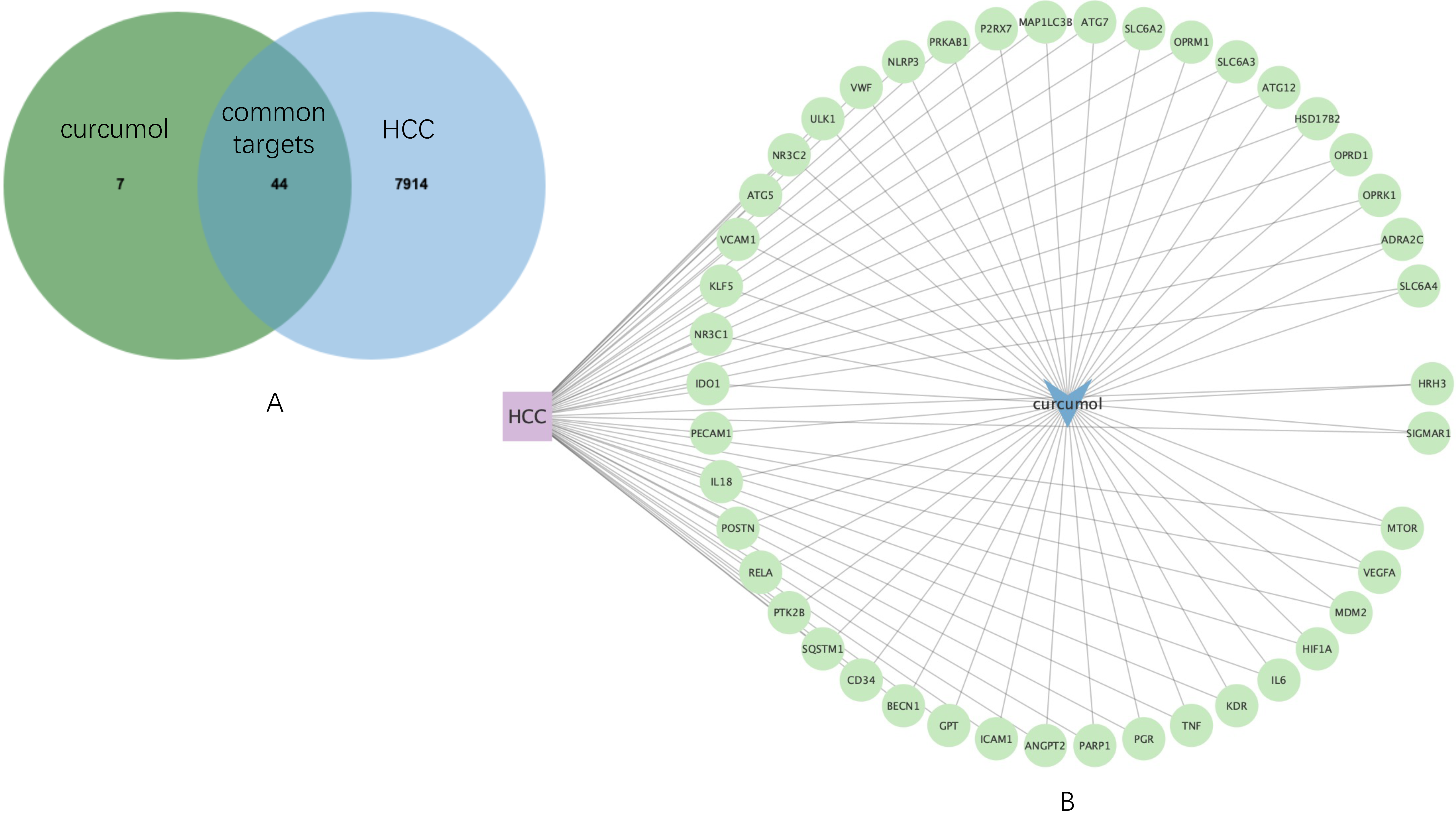 Genes 13 00653 g002 550