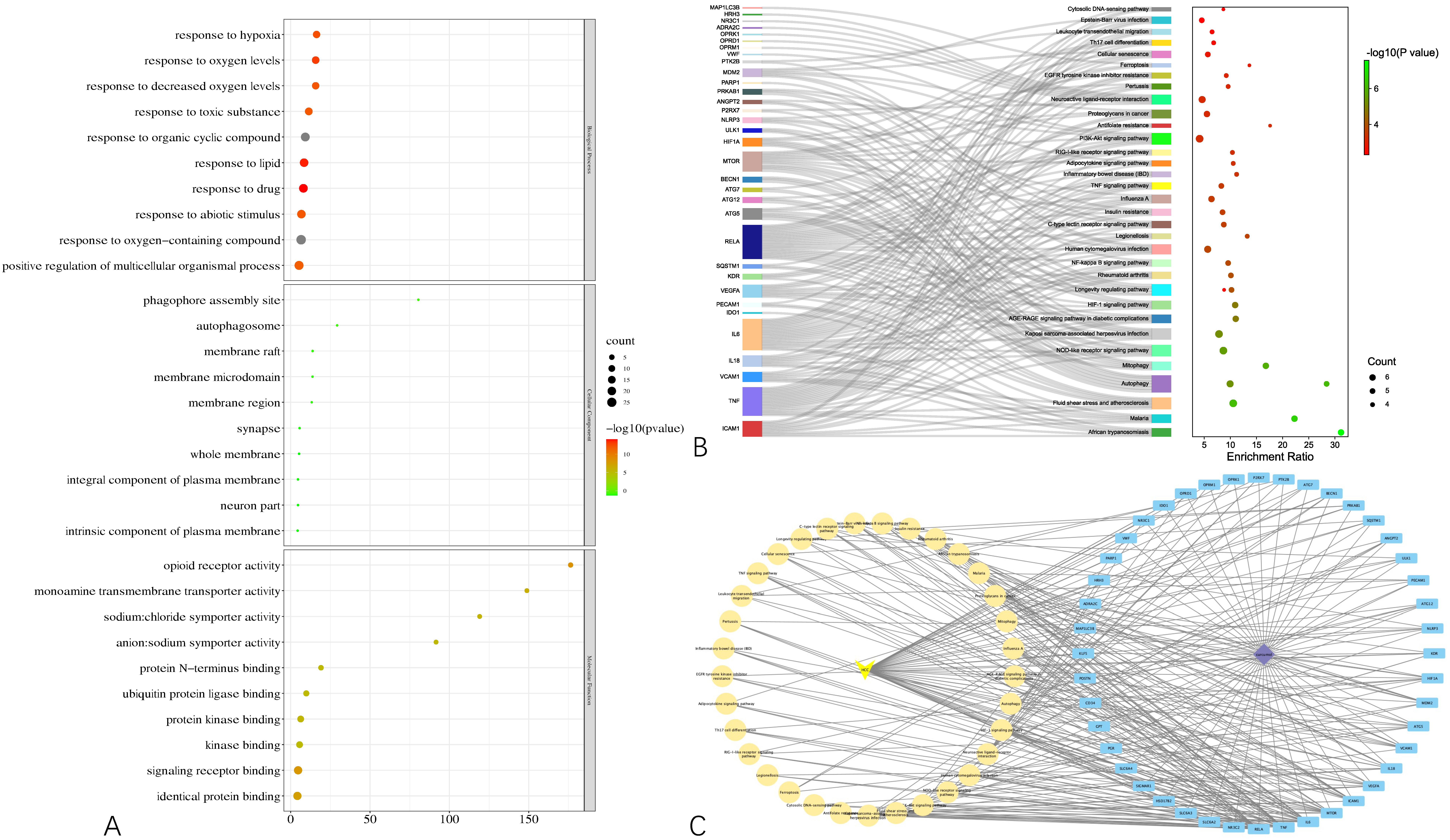 Genes 13 00653 g003 550