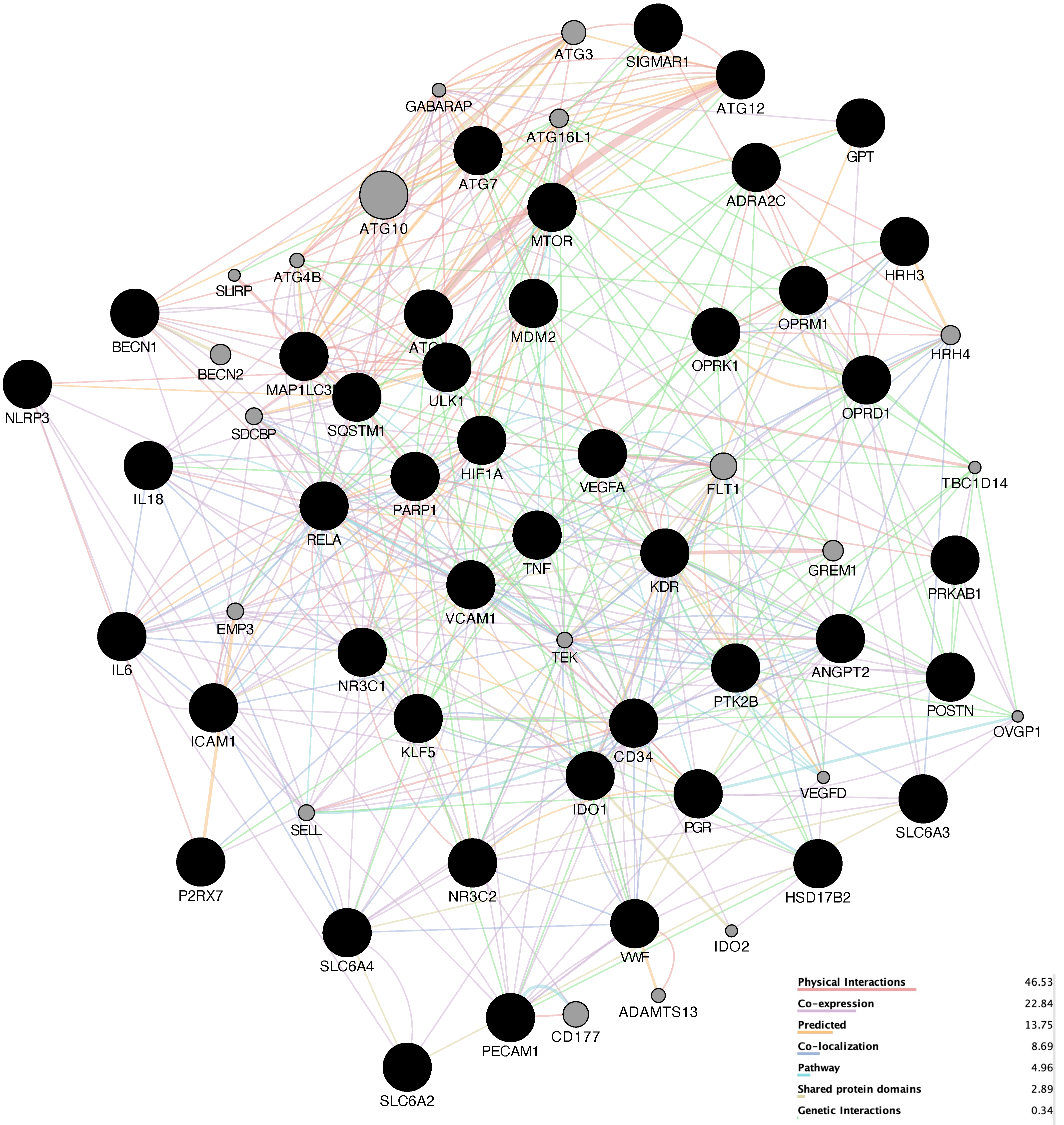 Genes 13 00653 g004 550