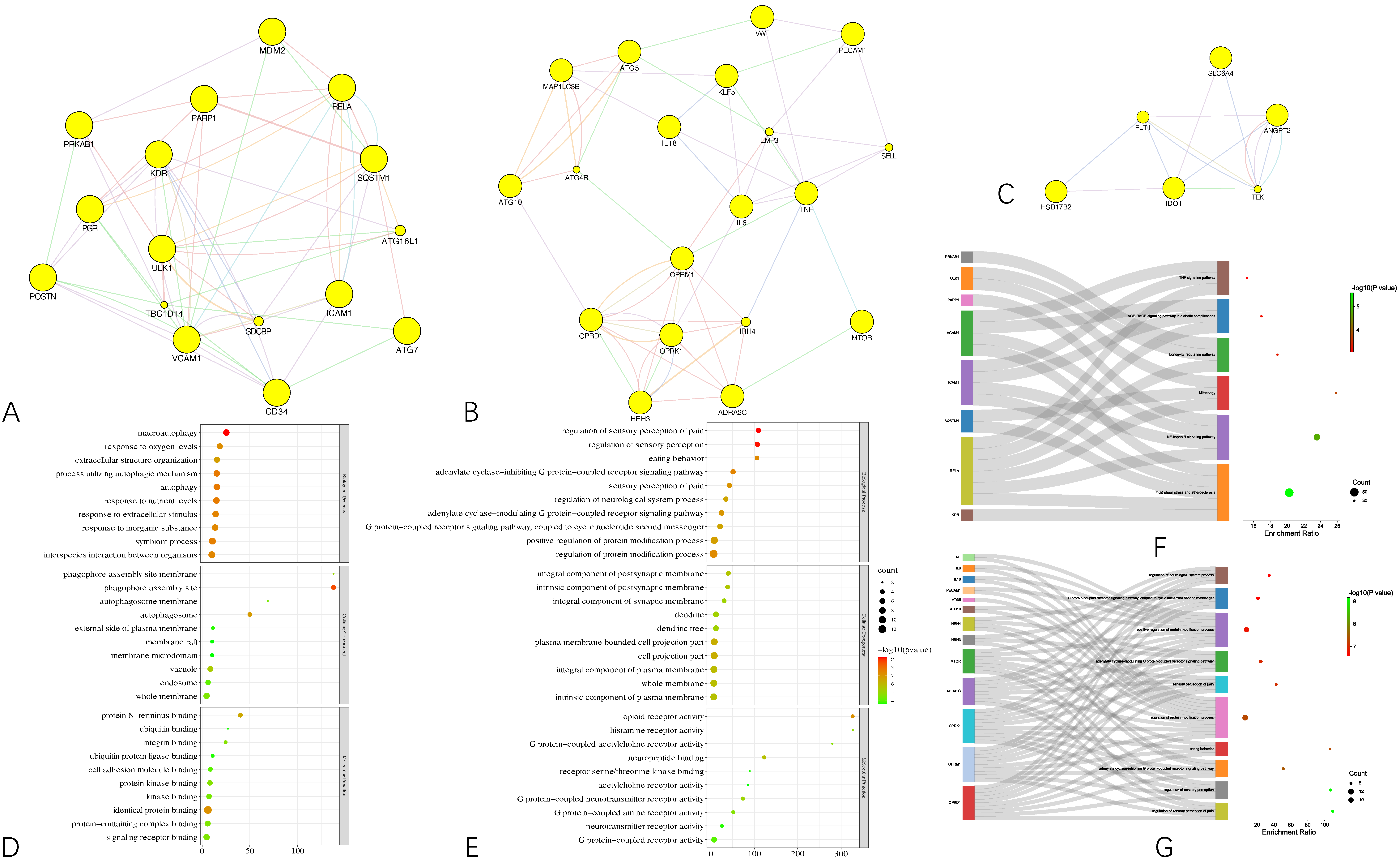 Genes 13 00653 g005 550