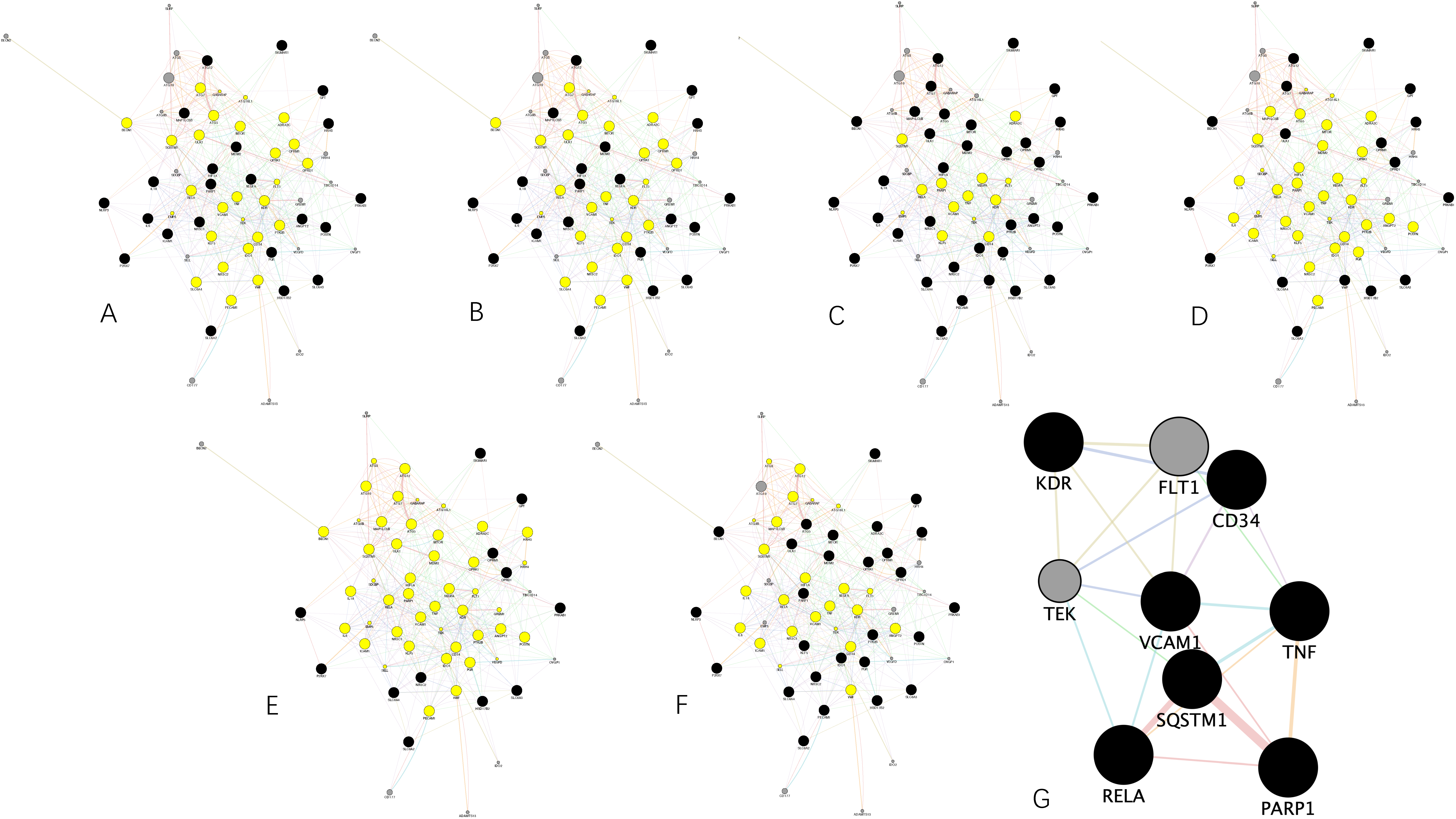 Genes 13 00653 g006 550
