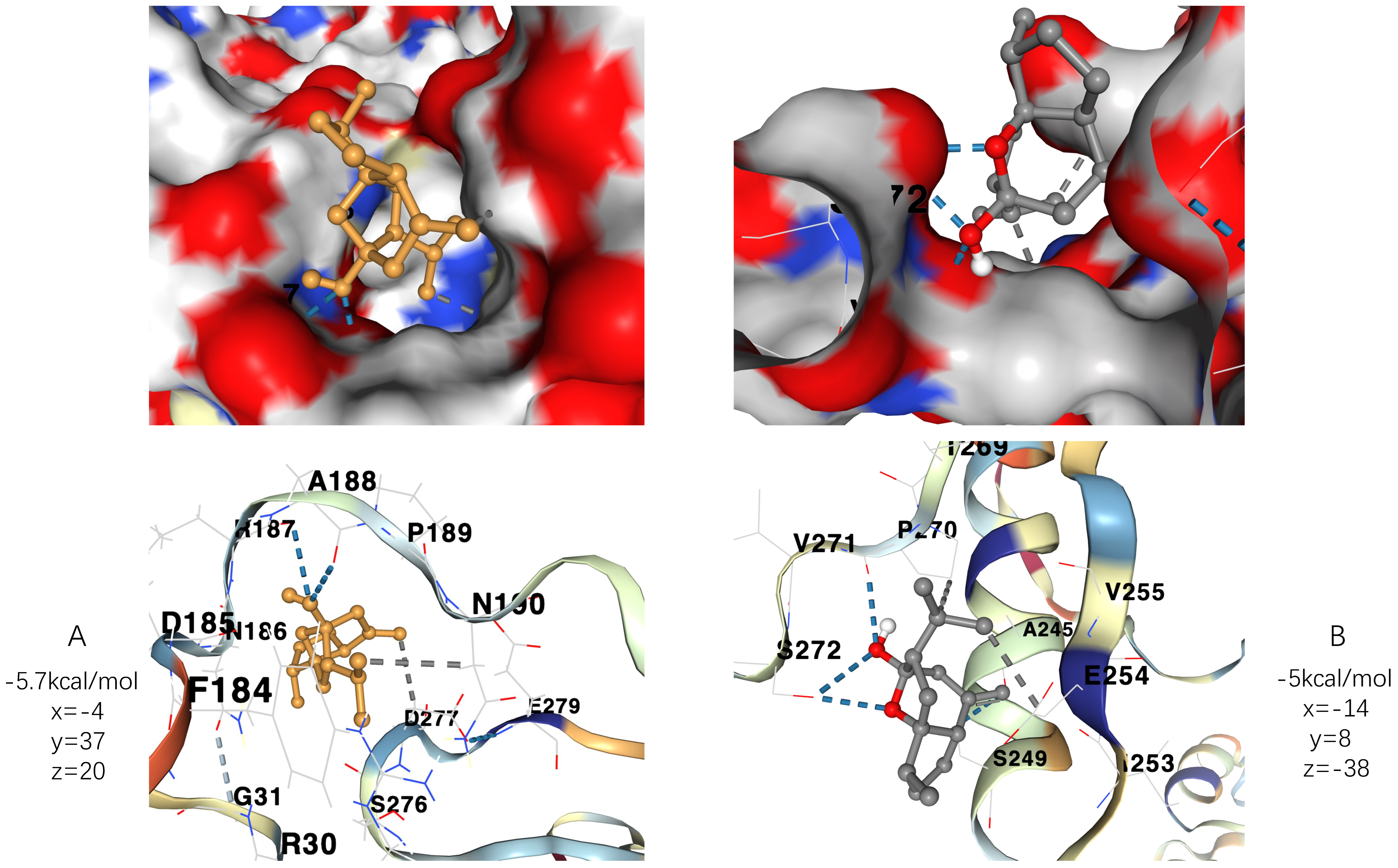 Genes 13 00653 g010 550