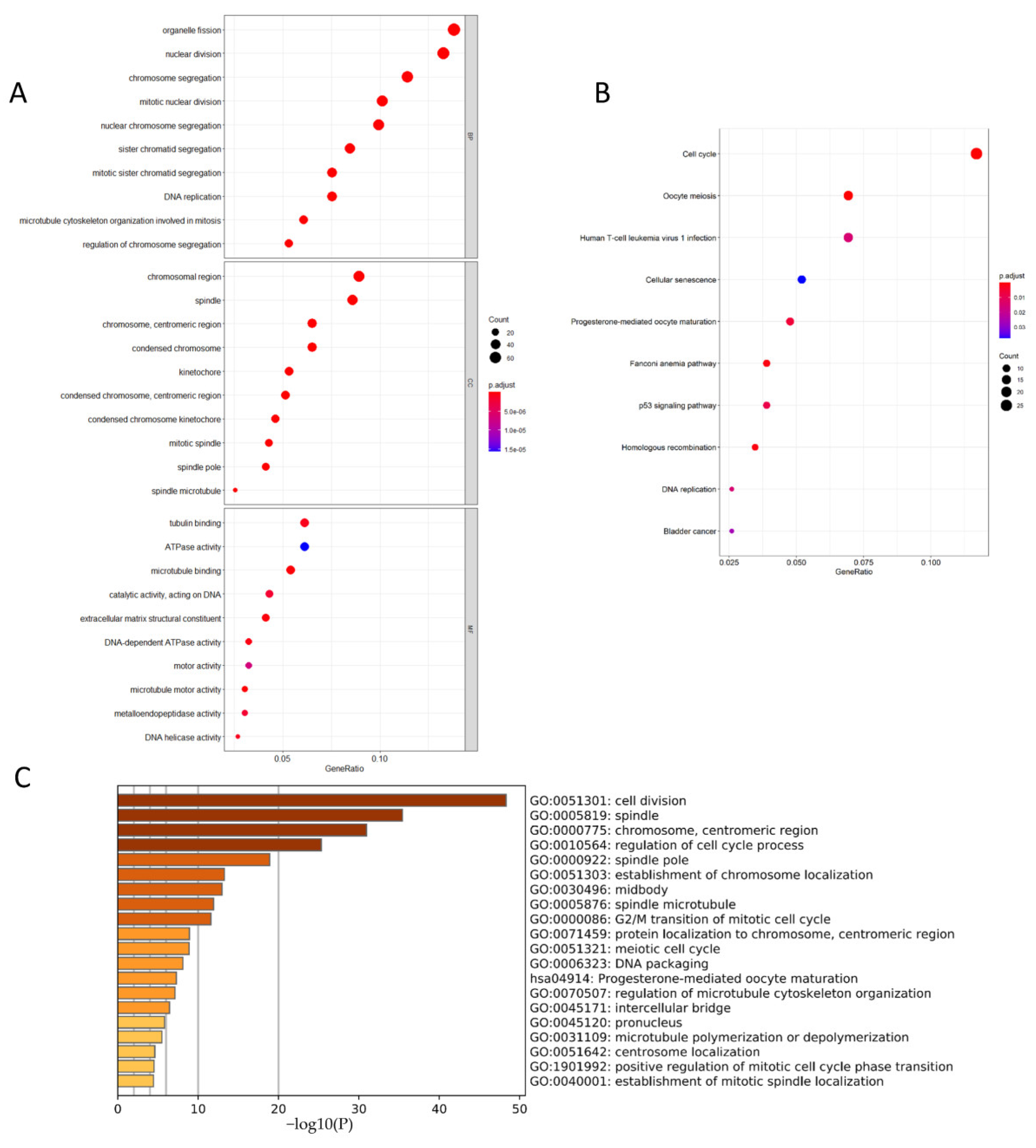 Genes 13 00654 g007
