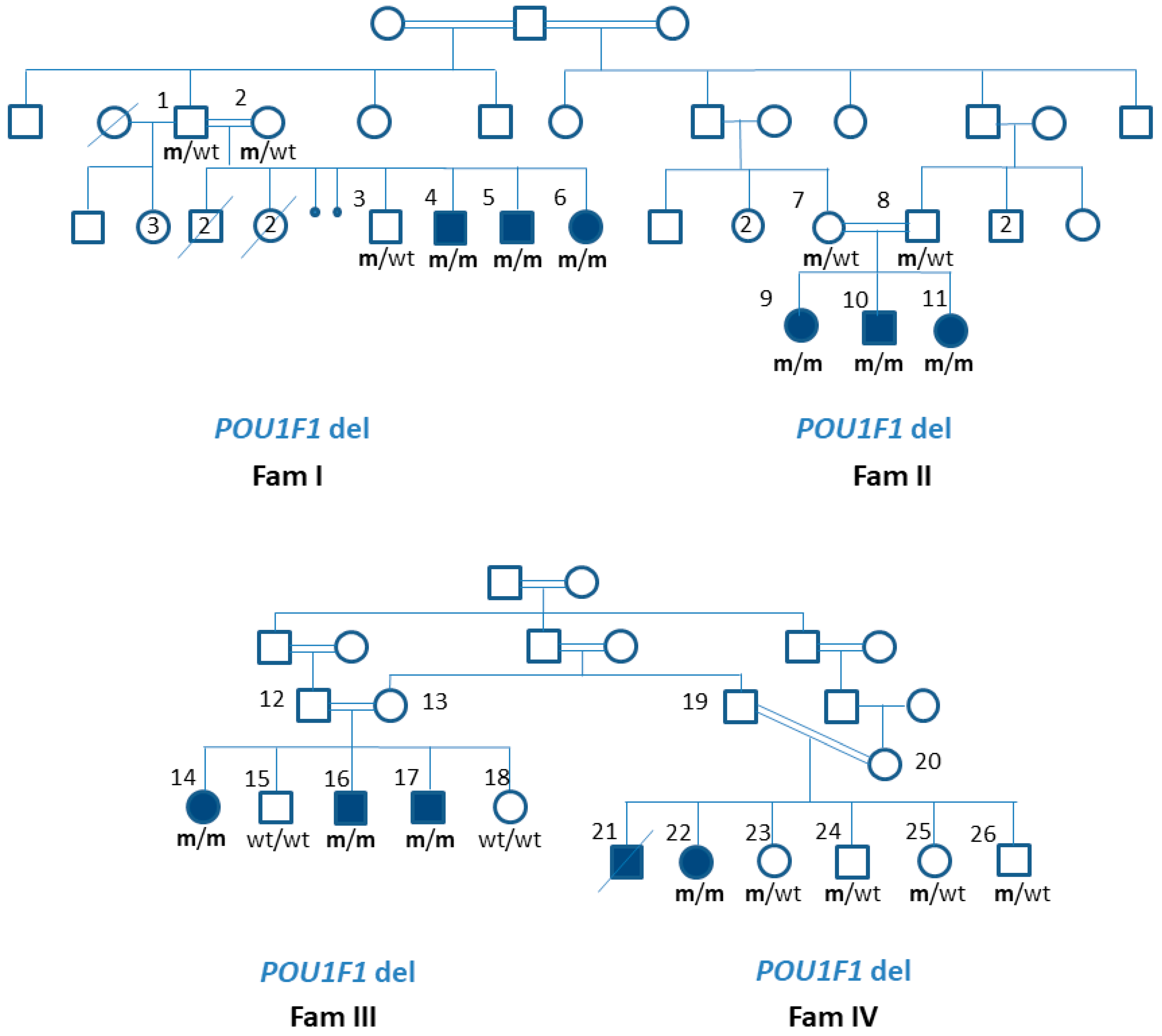 Genes 13 00657 g001 Genes 13 00657 g001