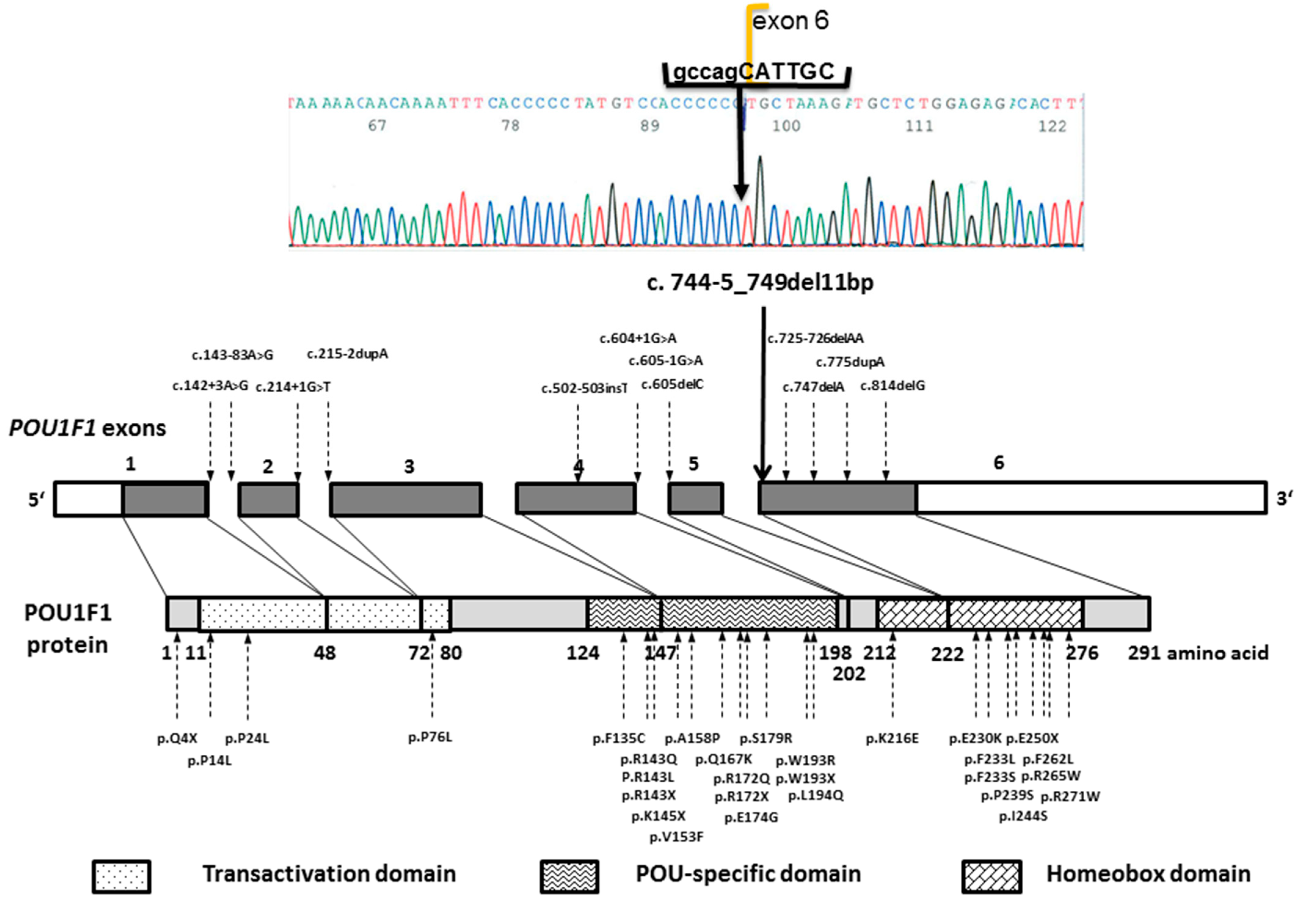 Genes 13 00657 g003 Genes 13 00657 g003