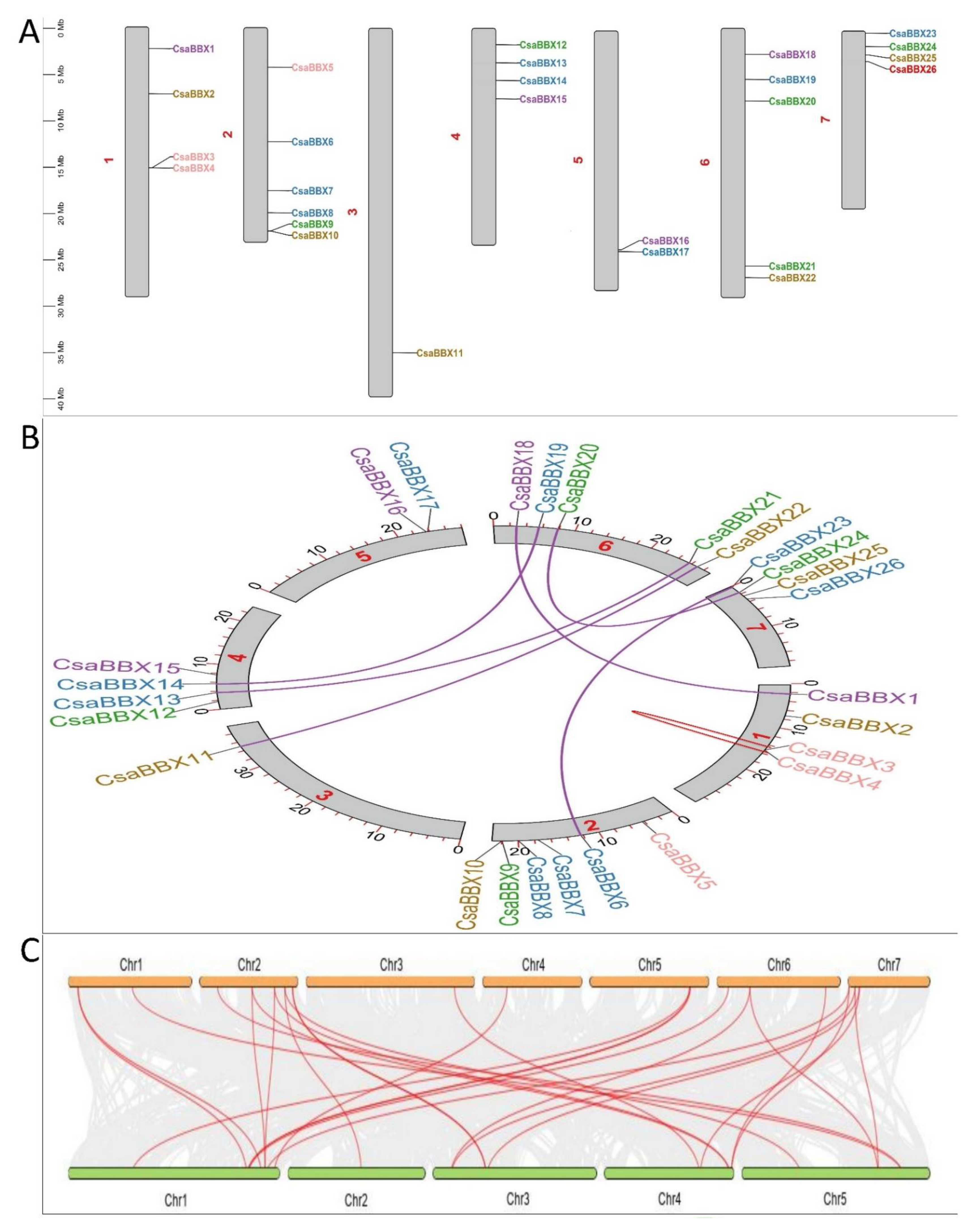 Genes 13 00658 g005 550