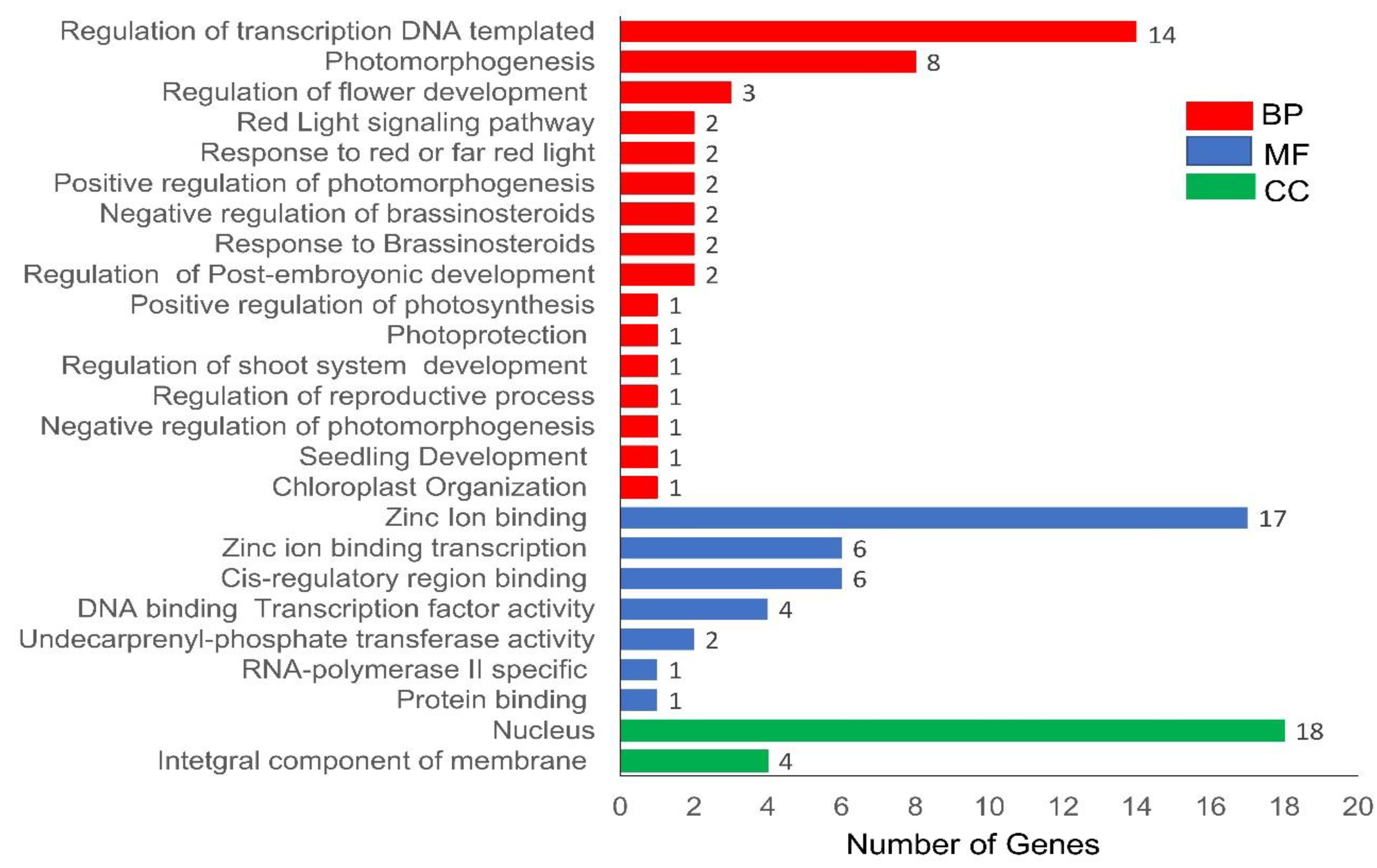 Genes 13 00658 g007 550