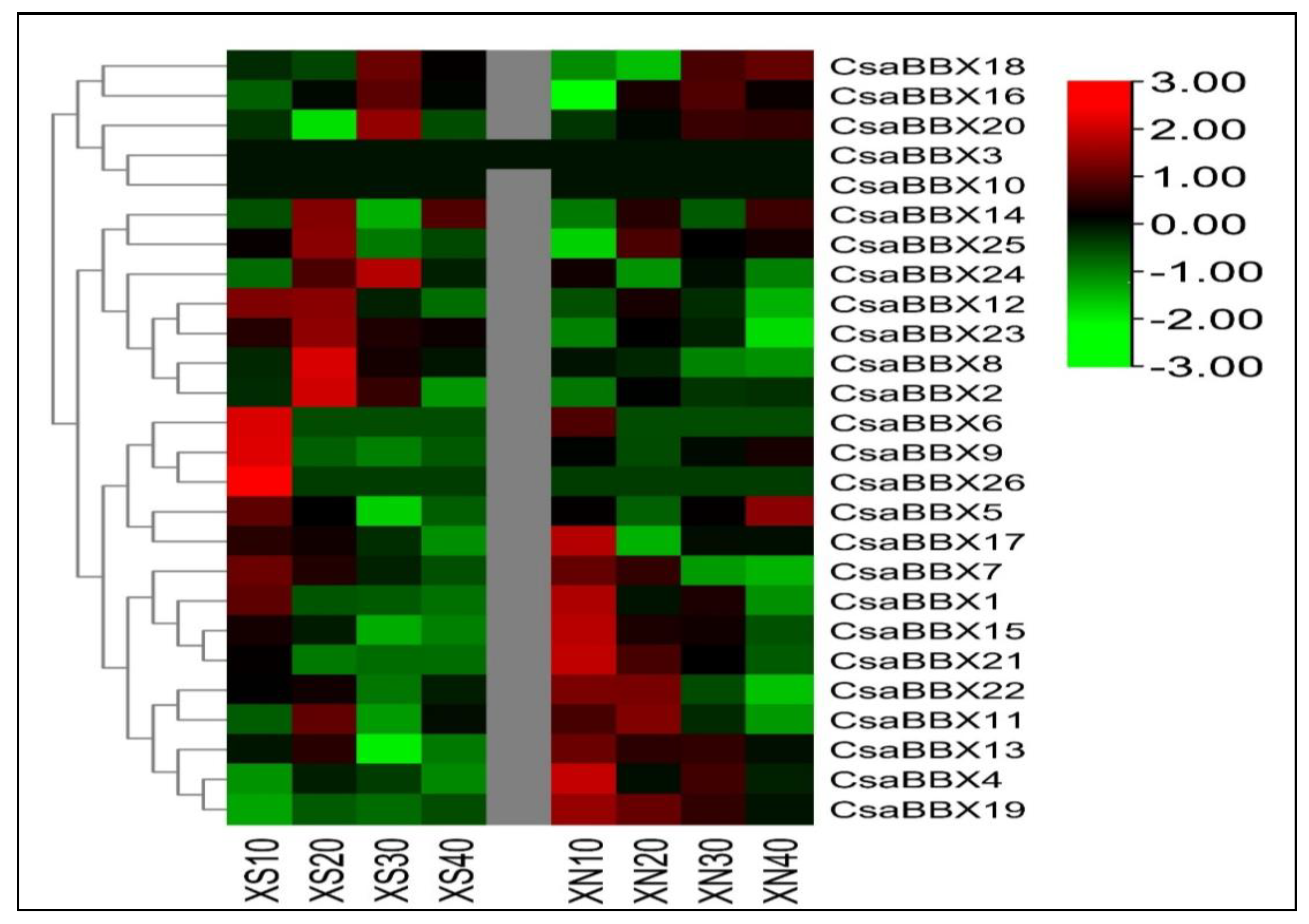 Genes 13 00658 g008 550