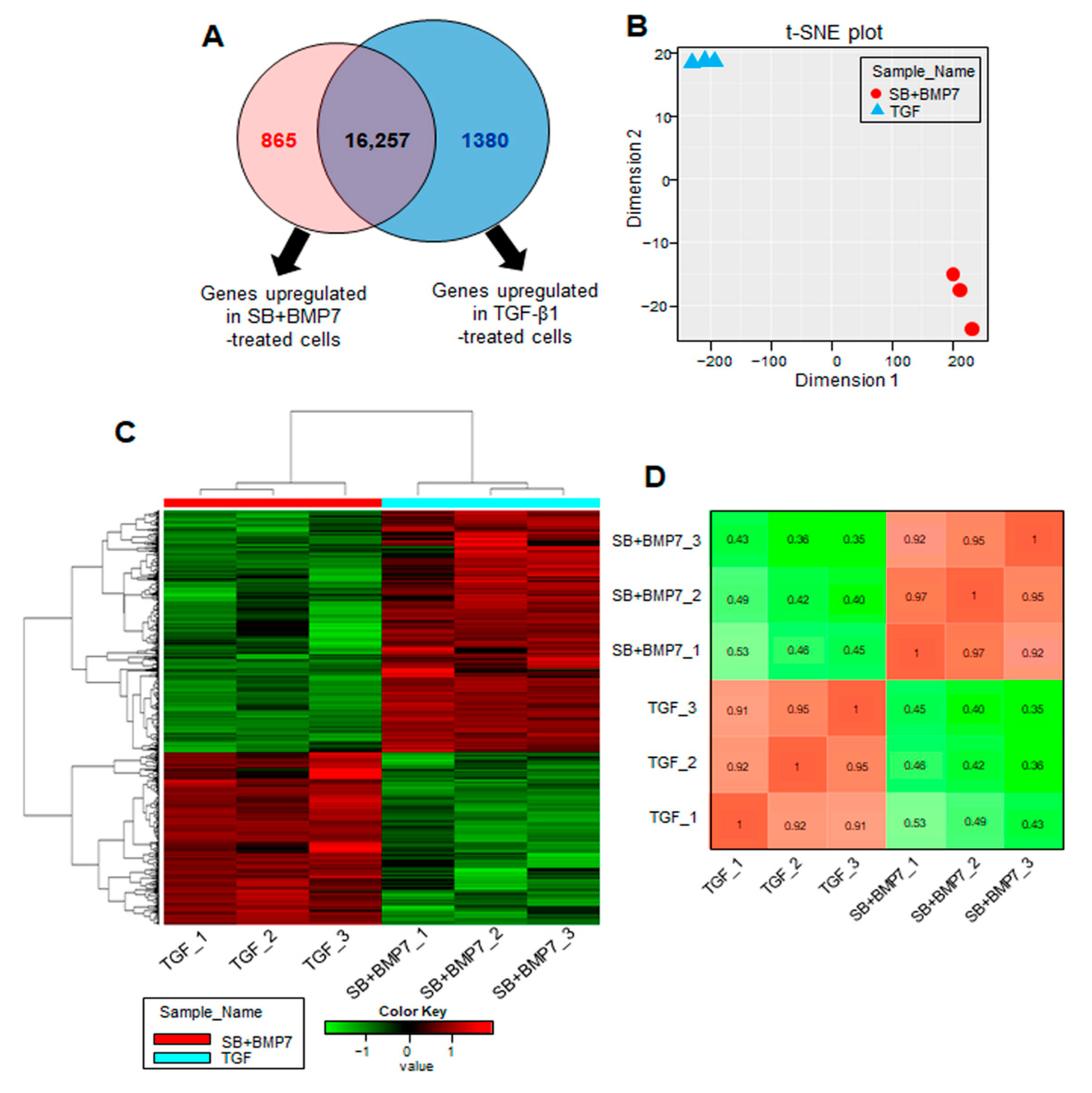 Genes 13 00659 g003 Genes 13 00659 g003