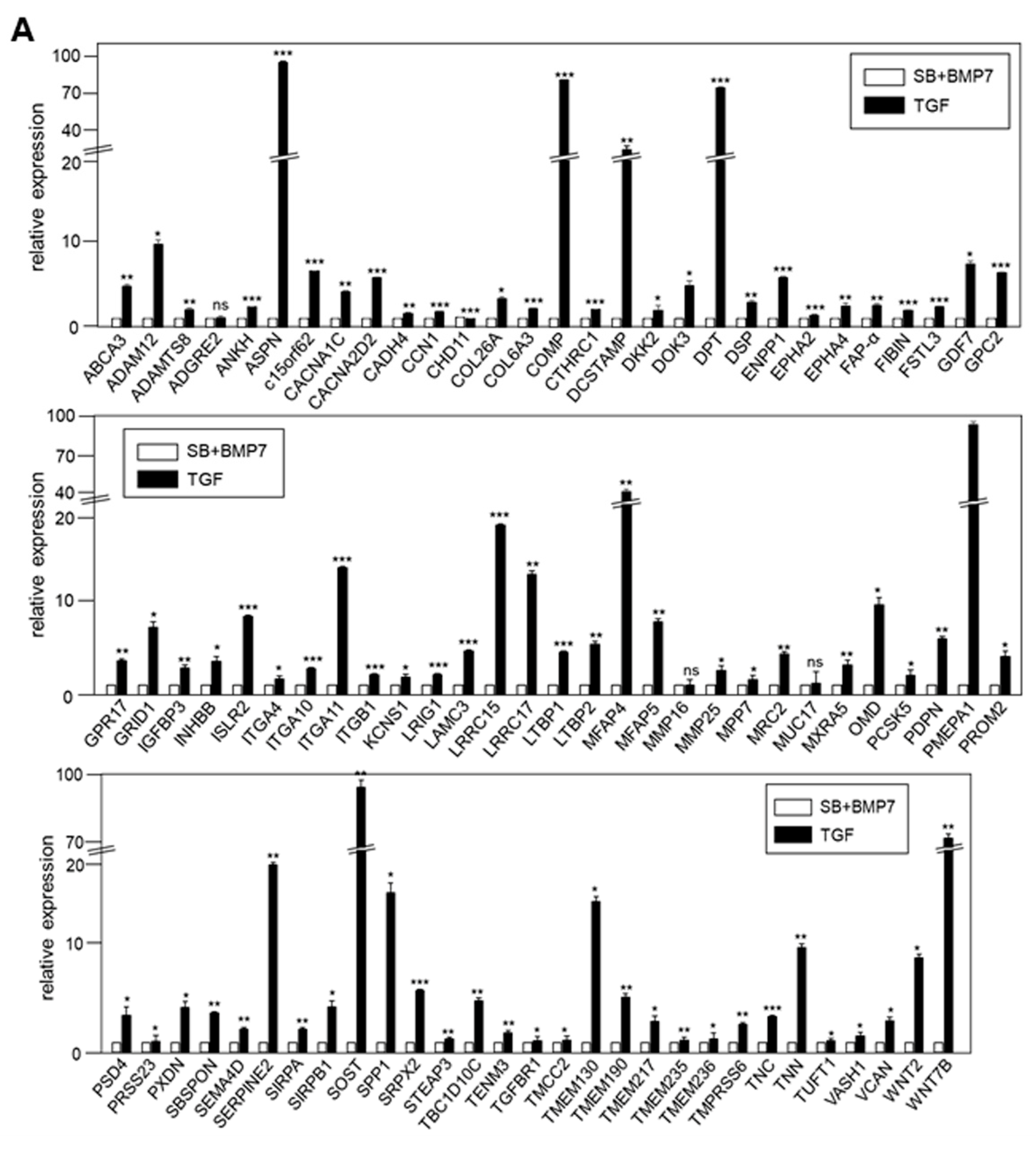 Genes 13 00659 g006a Genes 13 00659 g006a