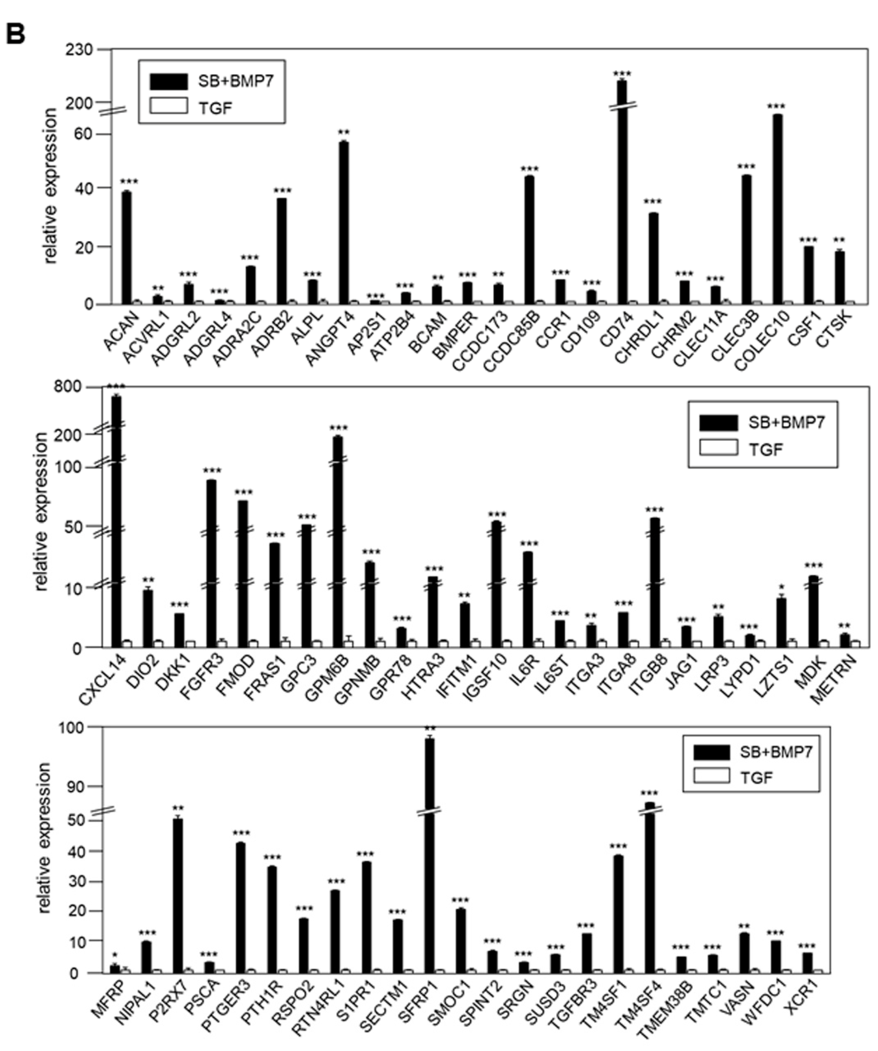 Genes 13 00659 g006b Genes 13 00659 g006b