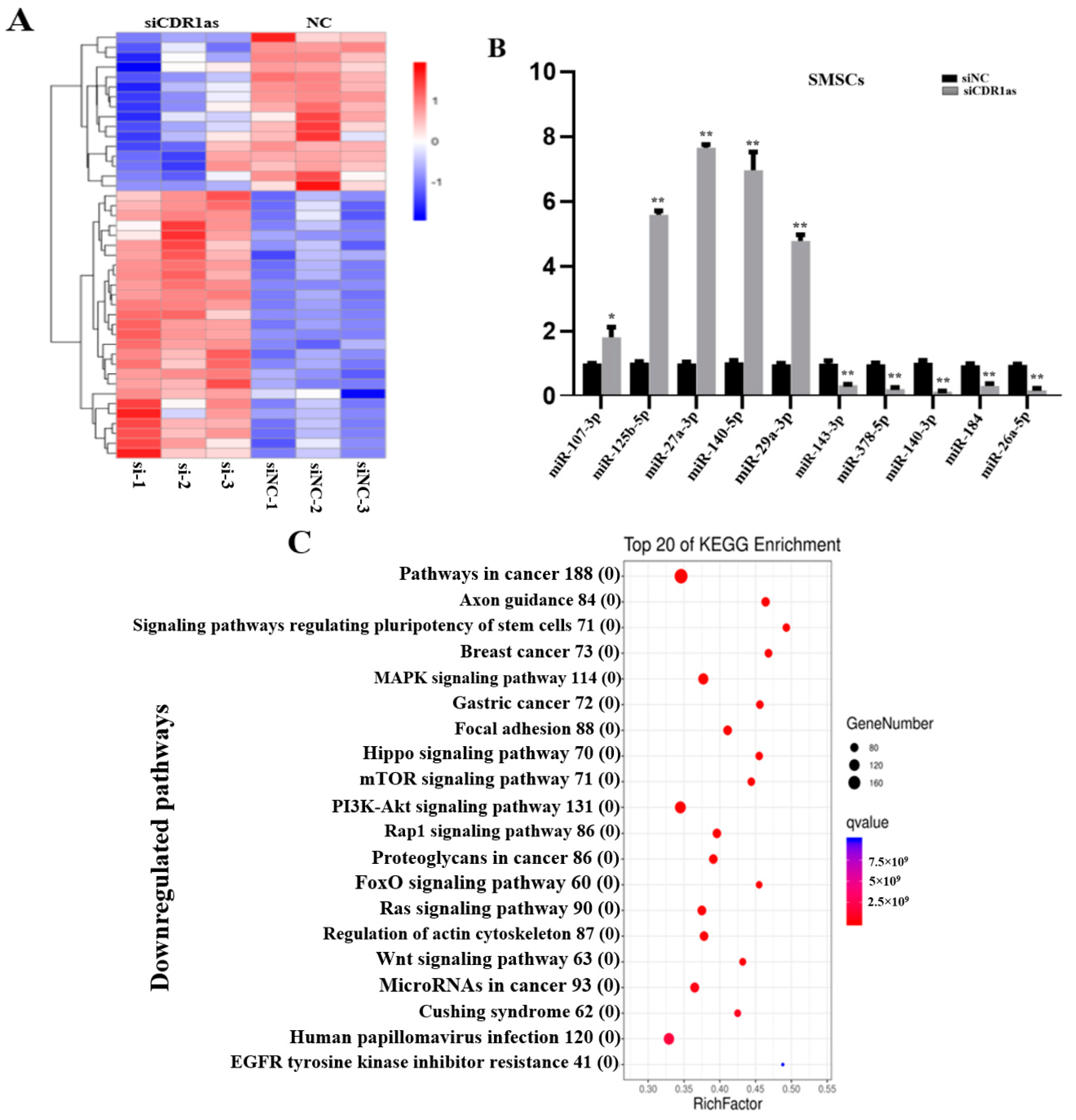 Genes 13 00663 g001 Genes 13 00663 g001