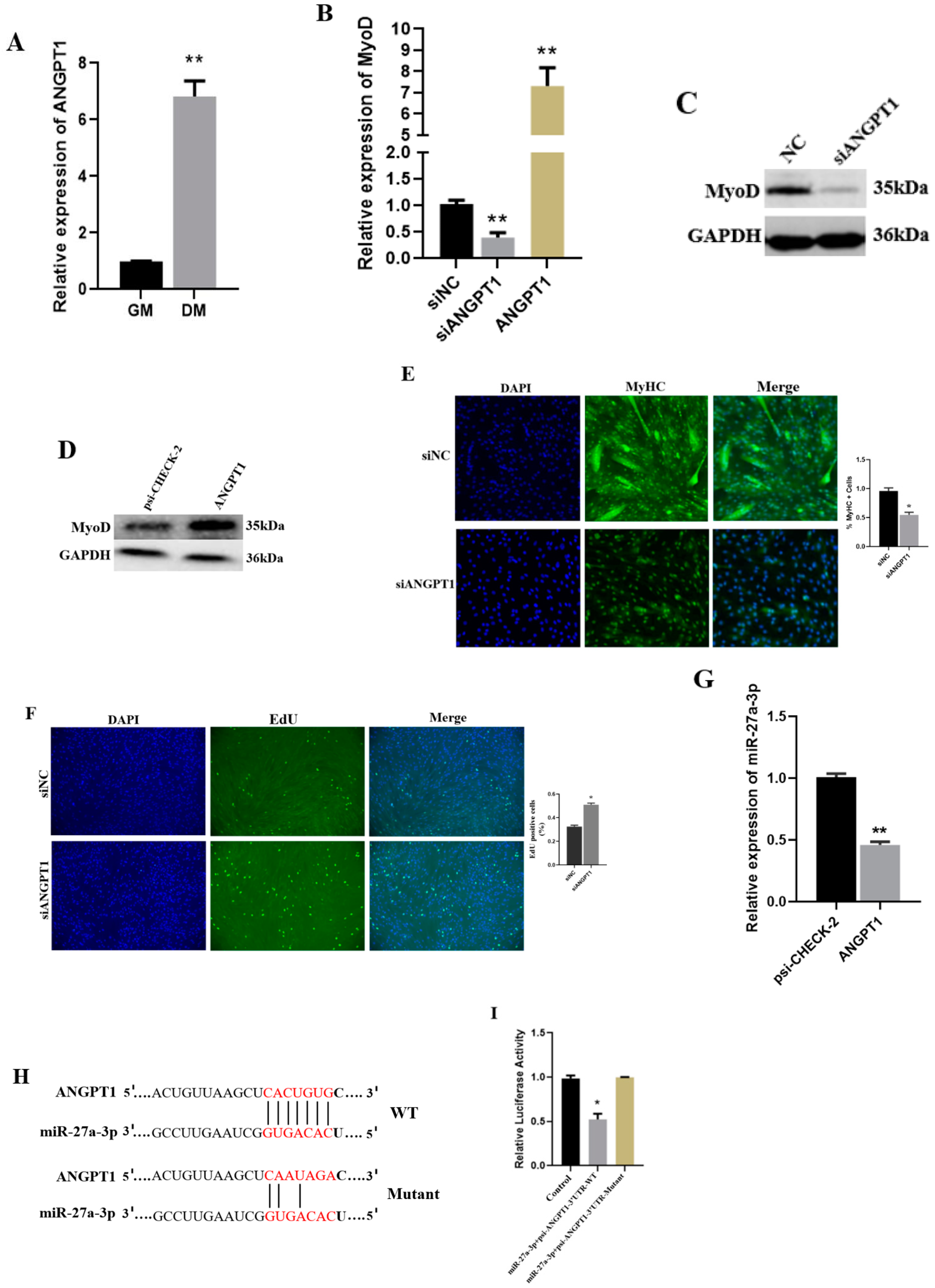 Genes 13 00663 g004 Genes 13 00663 g004