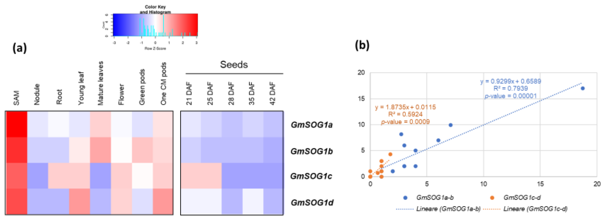 Genes 13 00667 g003 Genes 13 00667 g003