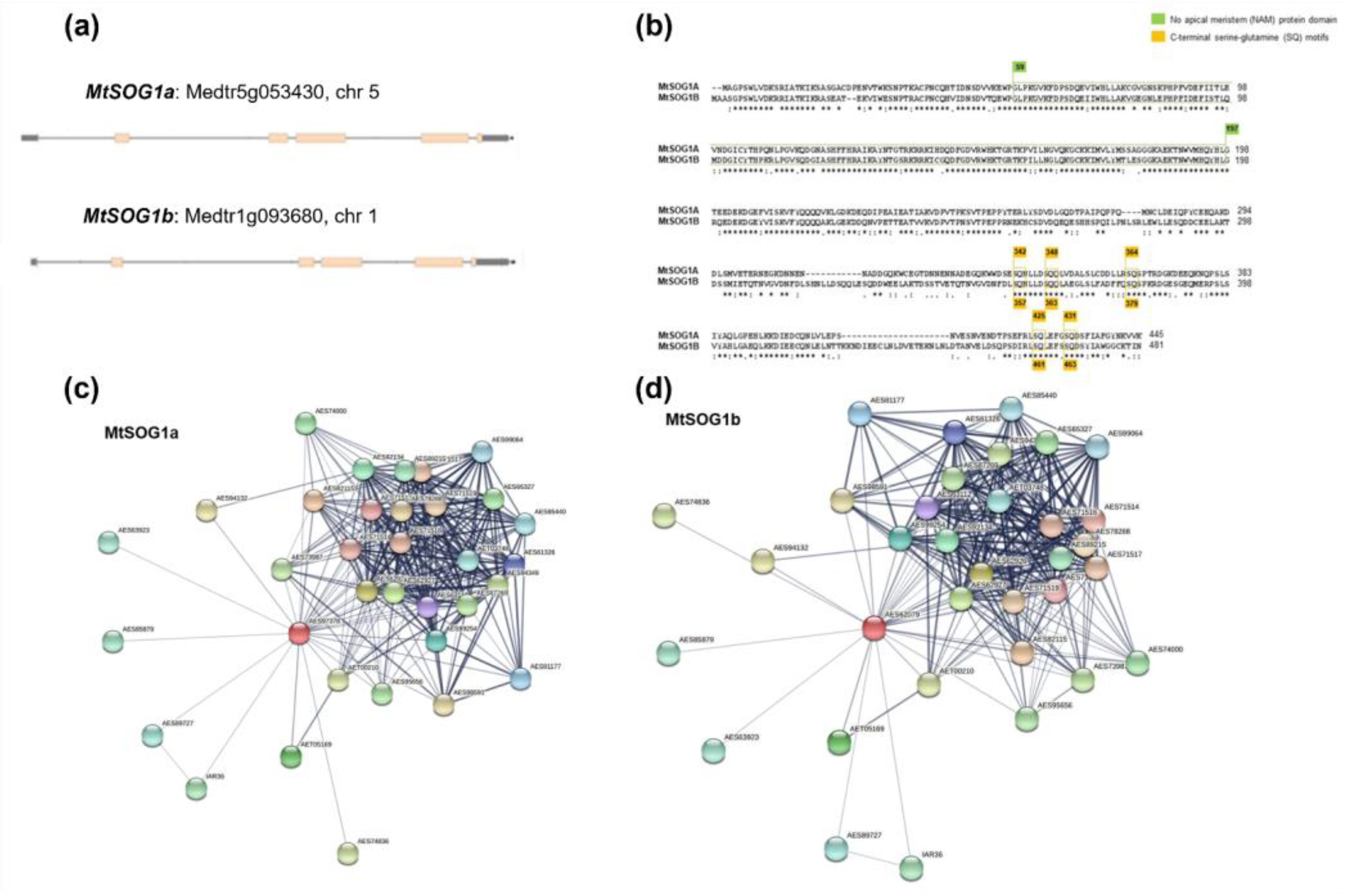 Genes 13 00667 g005 Genes 13 00667 g005