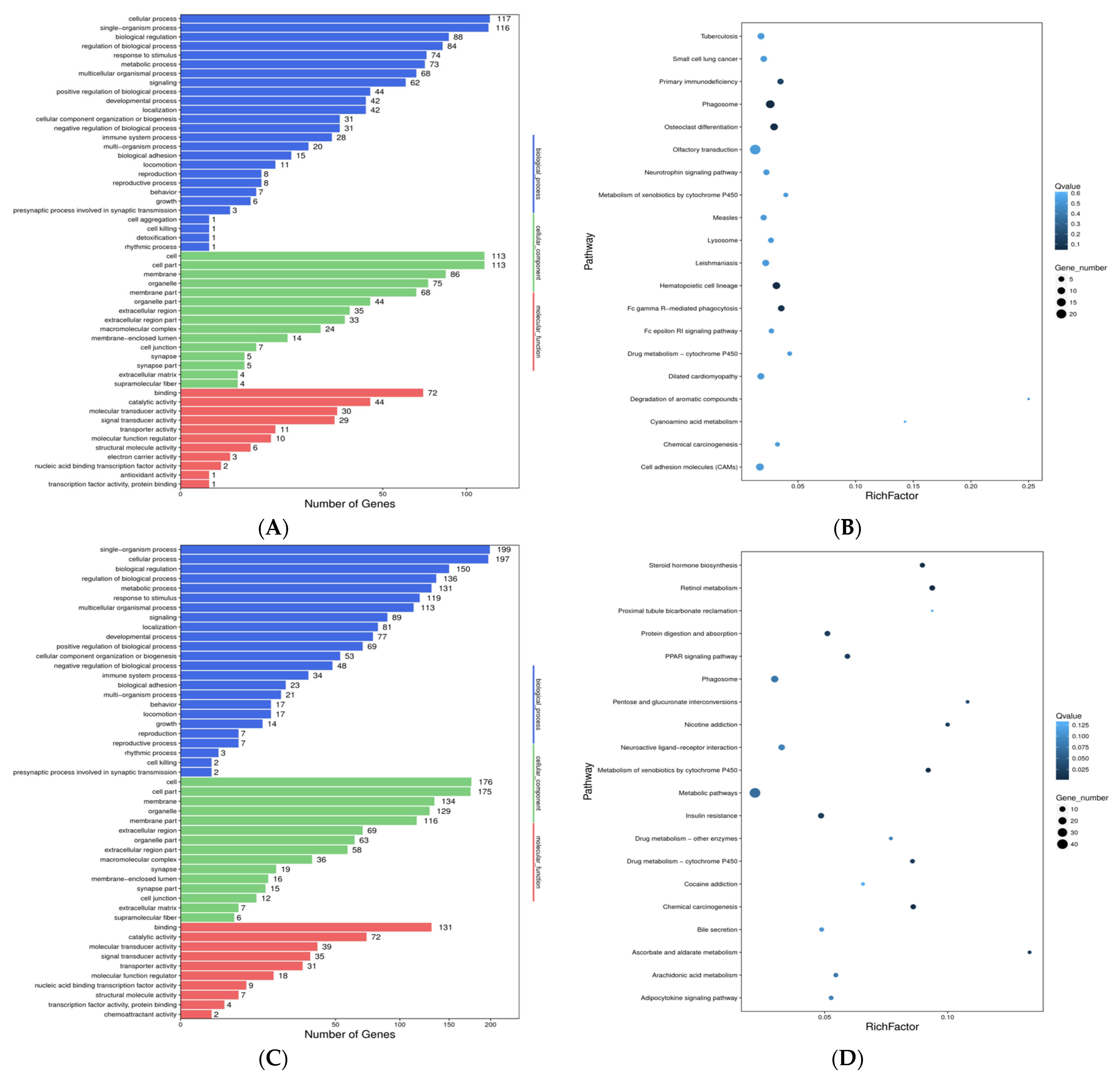 Genes 13 00668 g003a