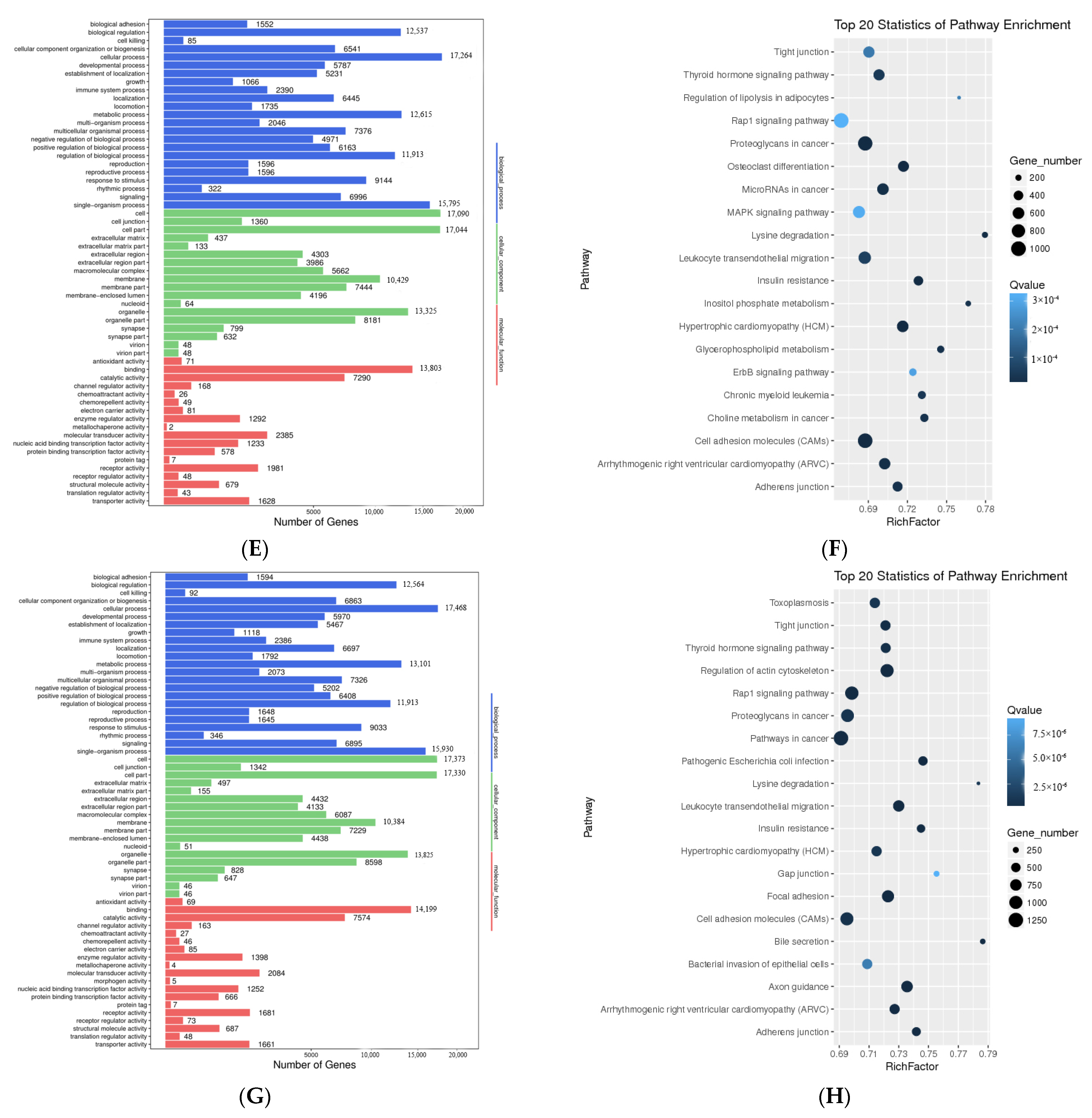 Genes 13 00668 g003b