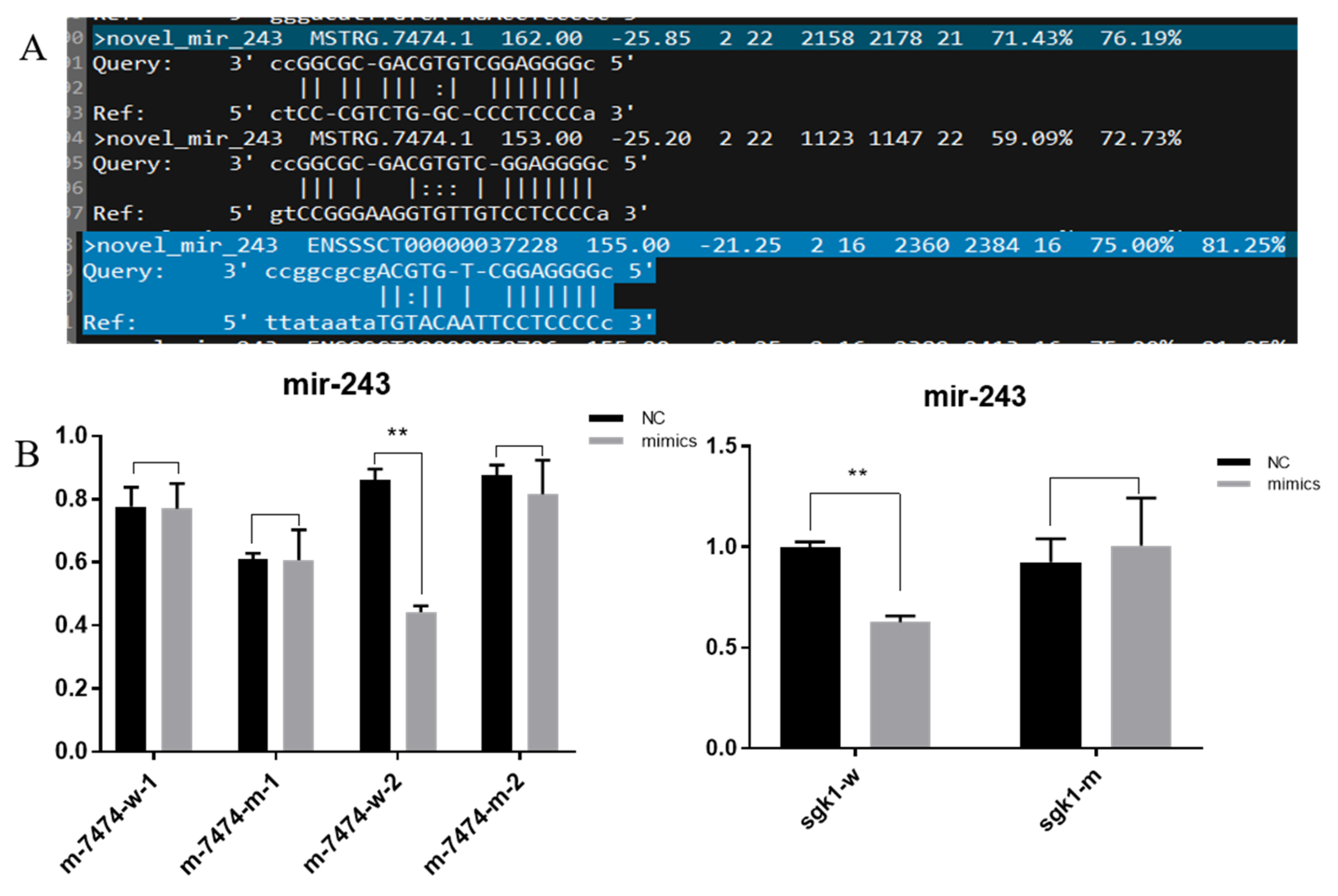 Genes 13 00668 g006