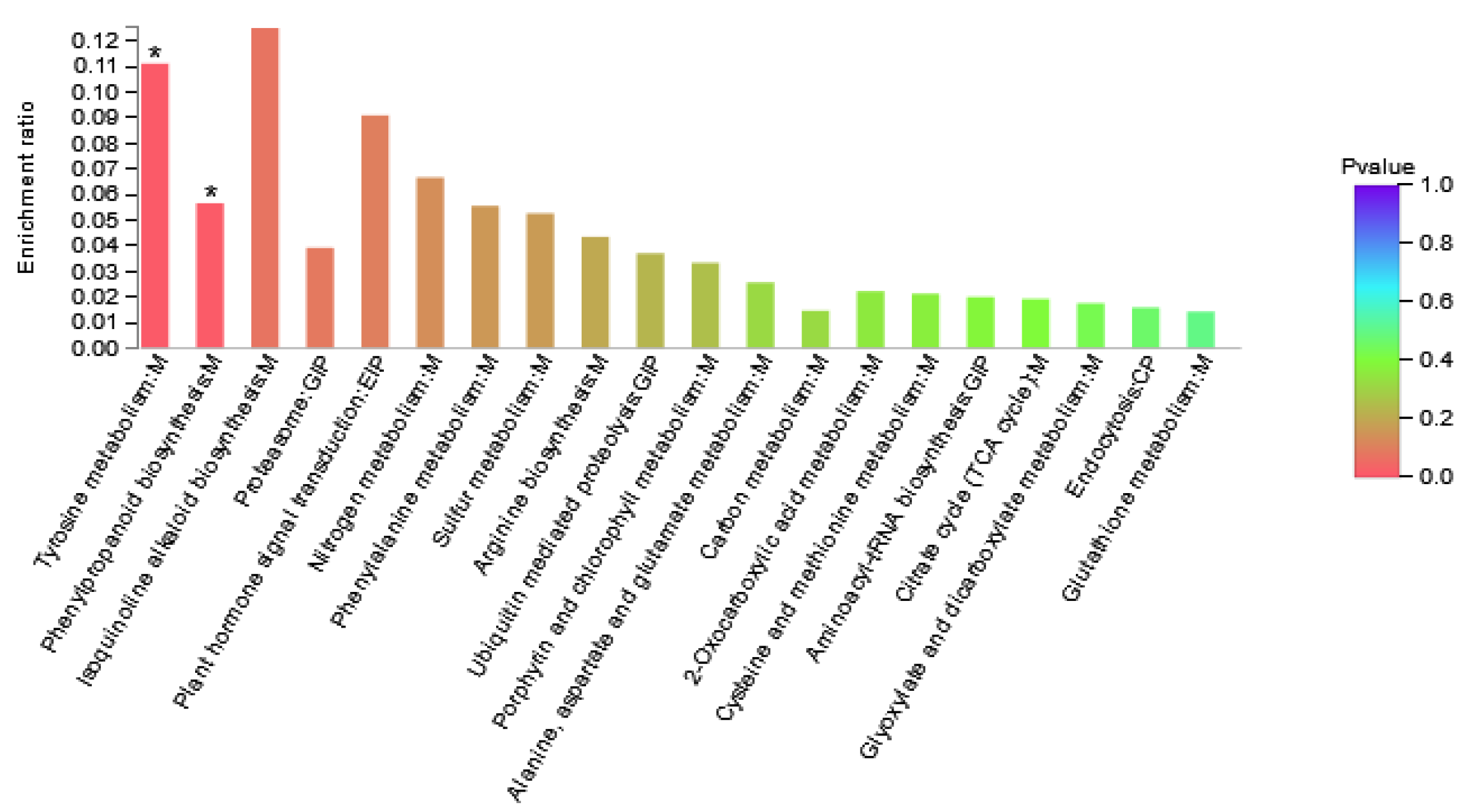 Genes 13 00670 g005 550
