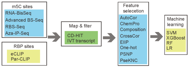 Genes 13 00677 g001 550