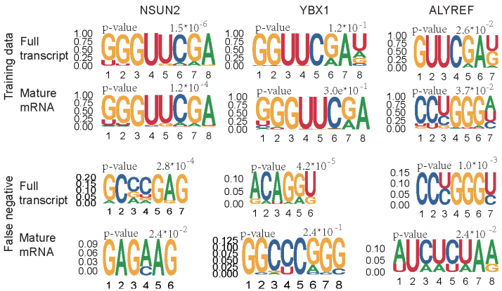 Genes 13 00677 g005 550