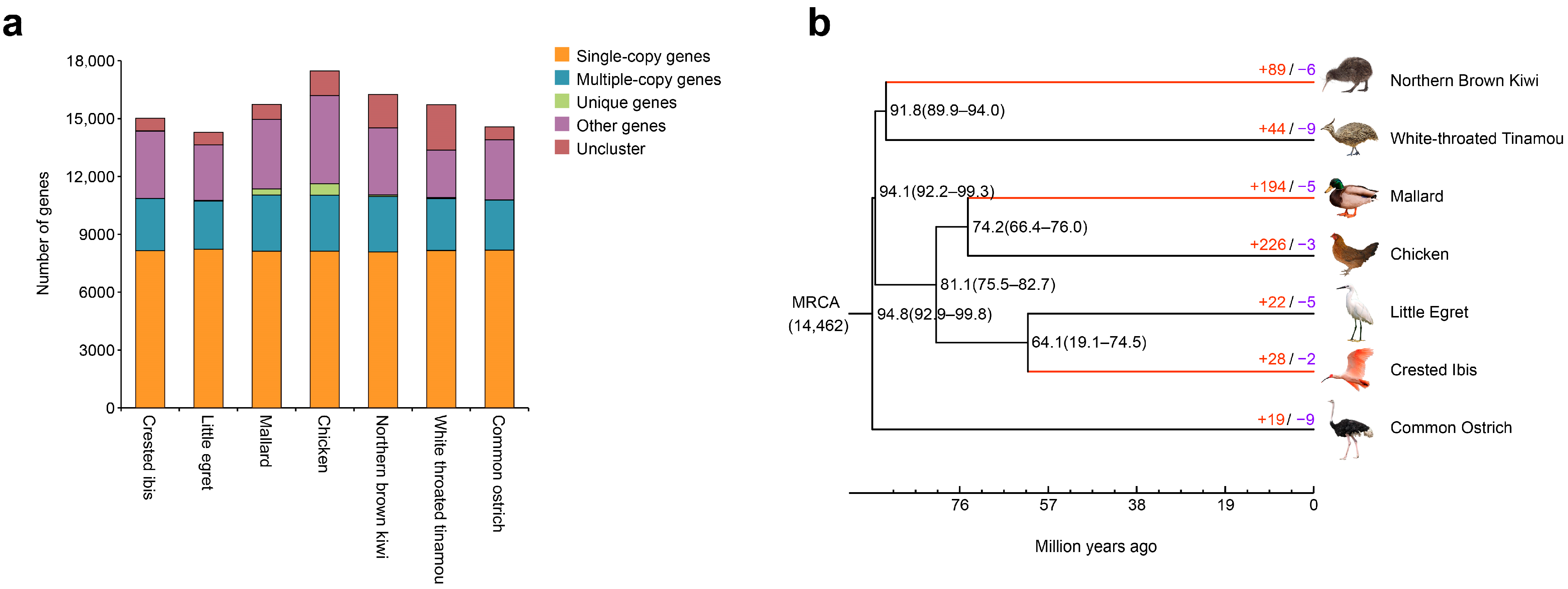 Genes 13 00678 g001 Genes 13 00678 g001