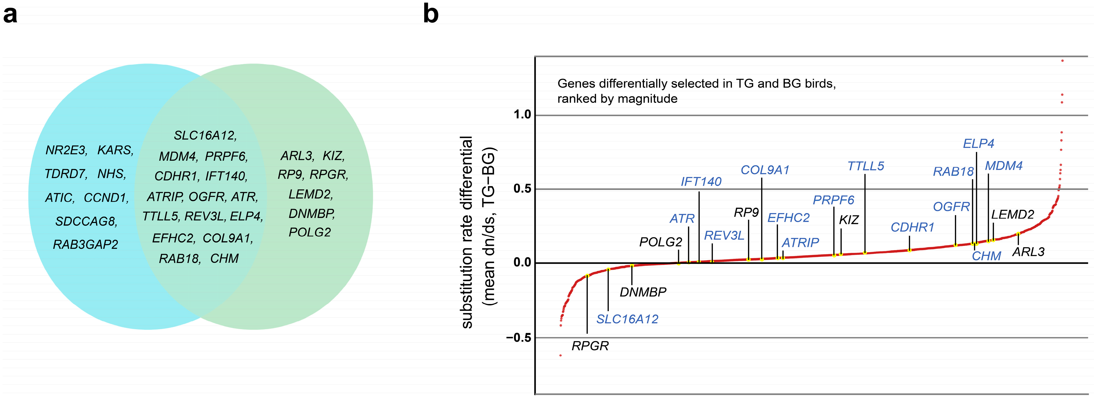 Genes 13 00678 g002 Genes 13 00678 g002