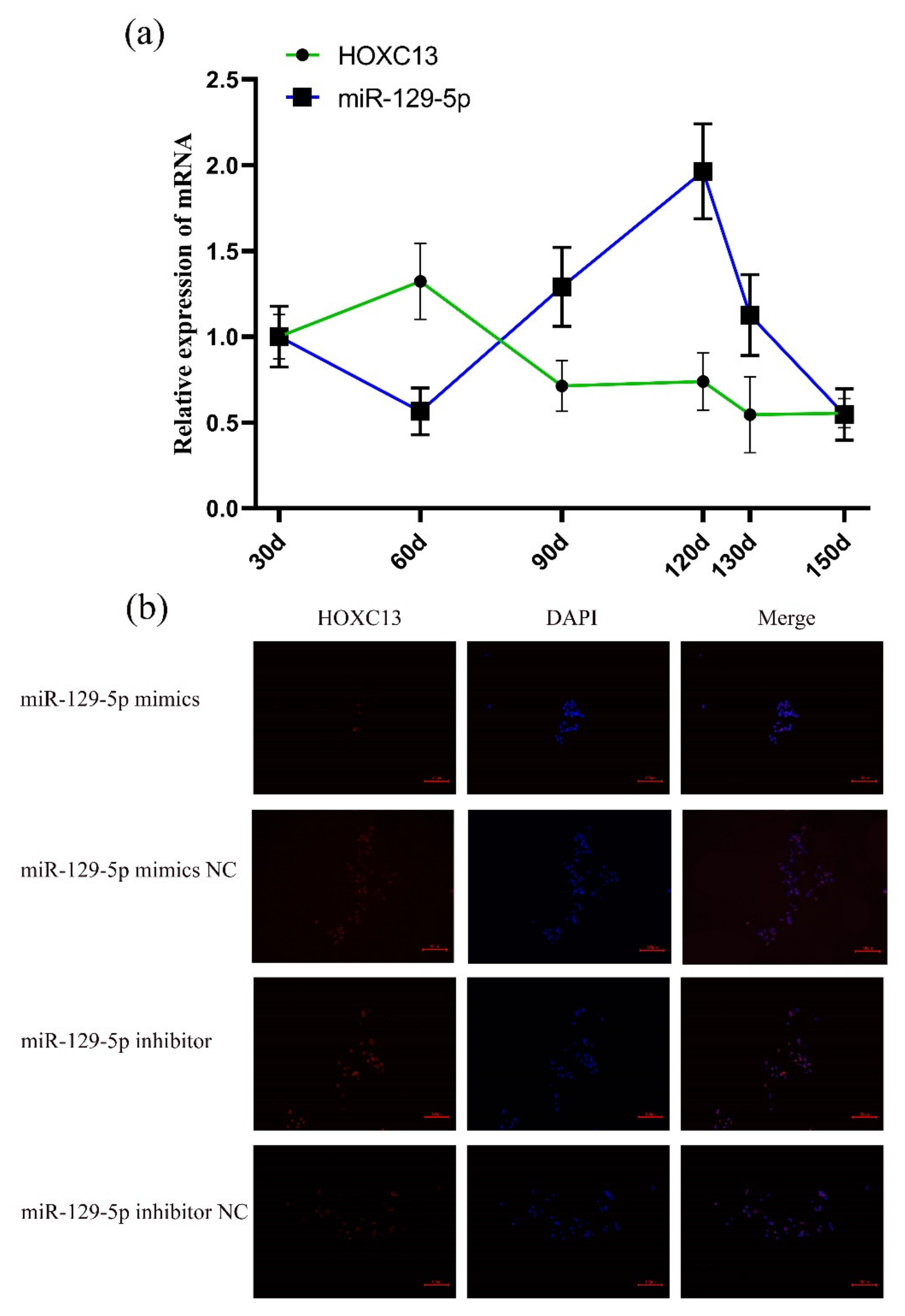 Genes 13 00679 g001 Genes 13 00679 g001