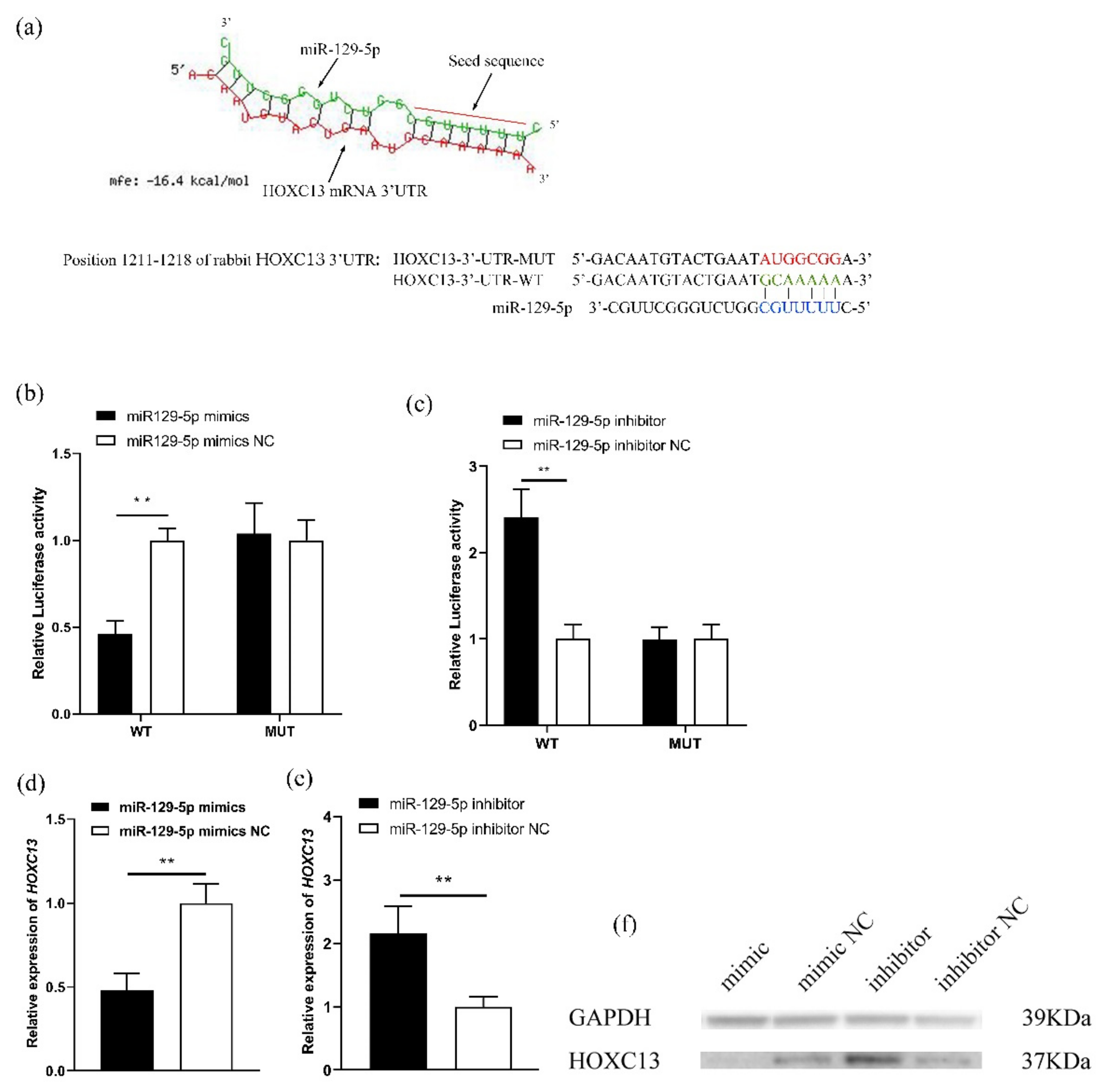 Genes 13 00679 g002 Genes 13 00679 g002