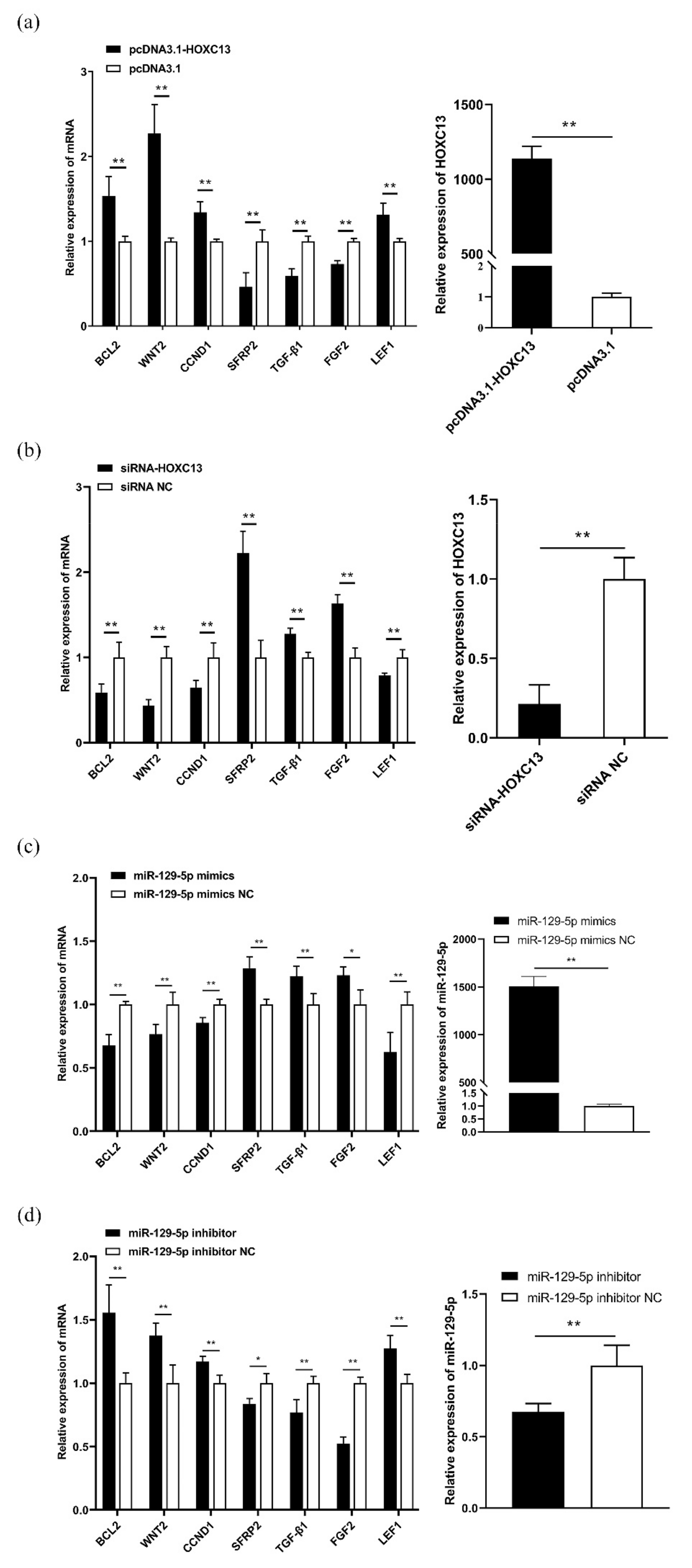 Genes 13 00679 g003 Genes 13 00679 g003