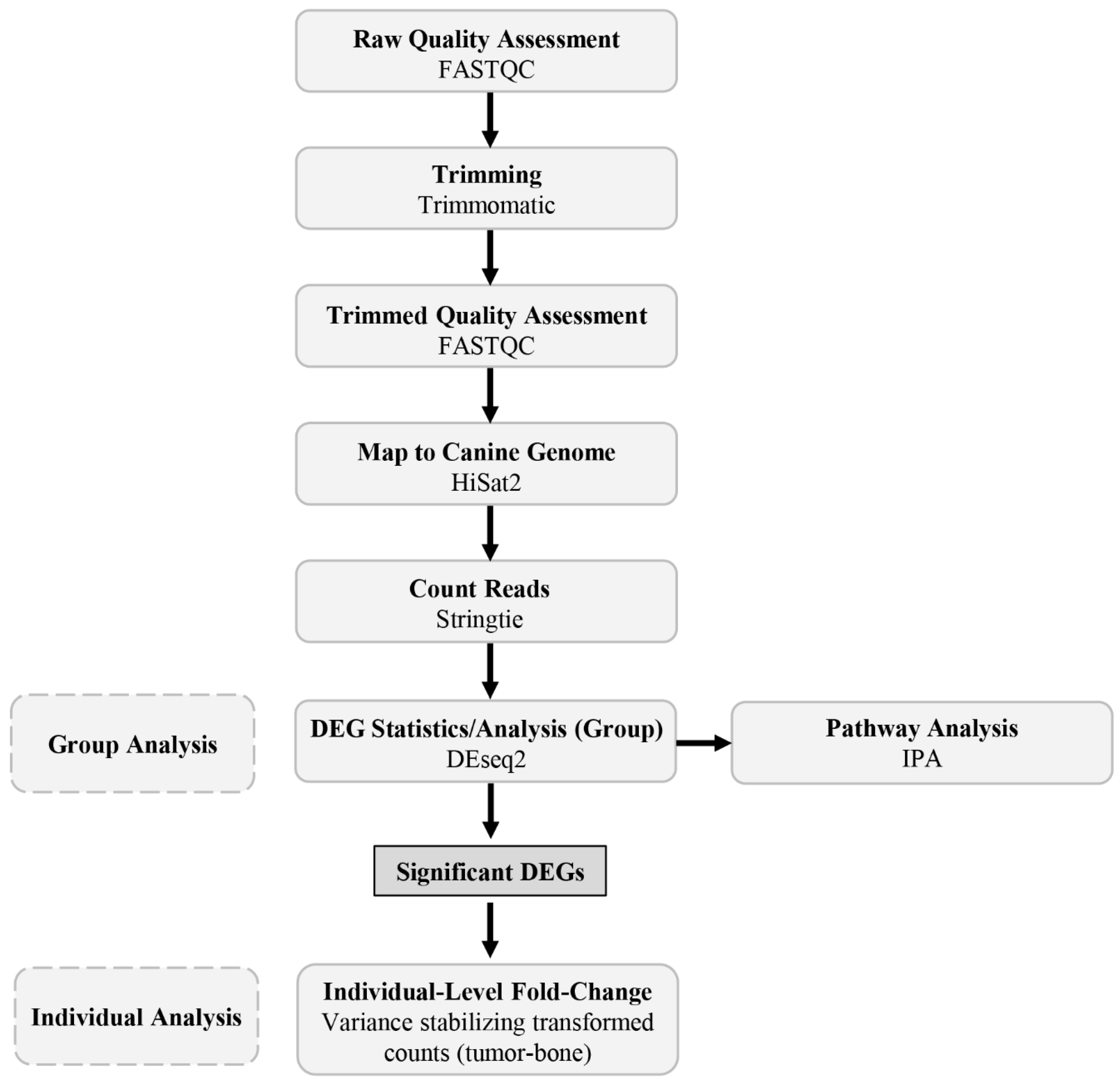 Genes 13 00680 g001 Genes 13 00680 g001