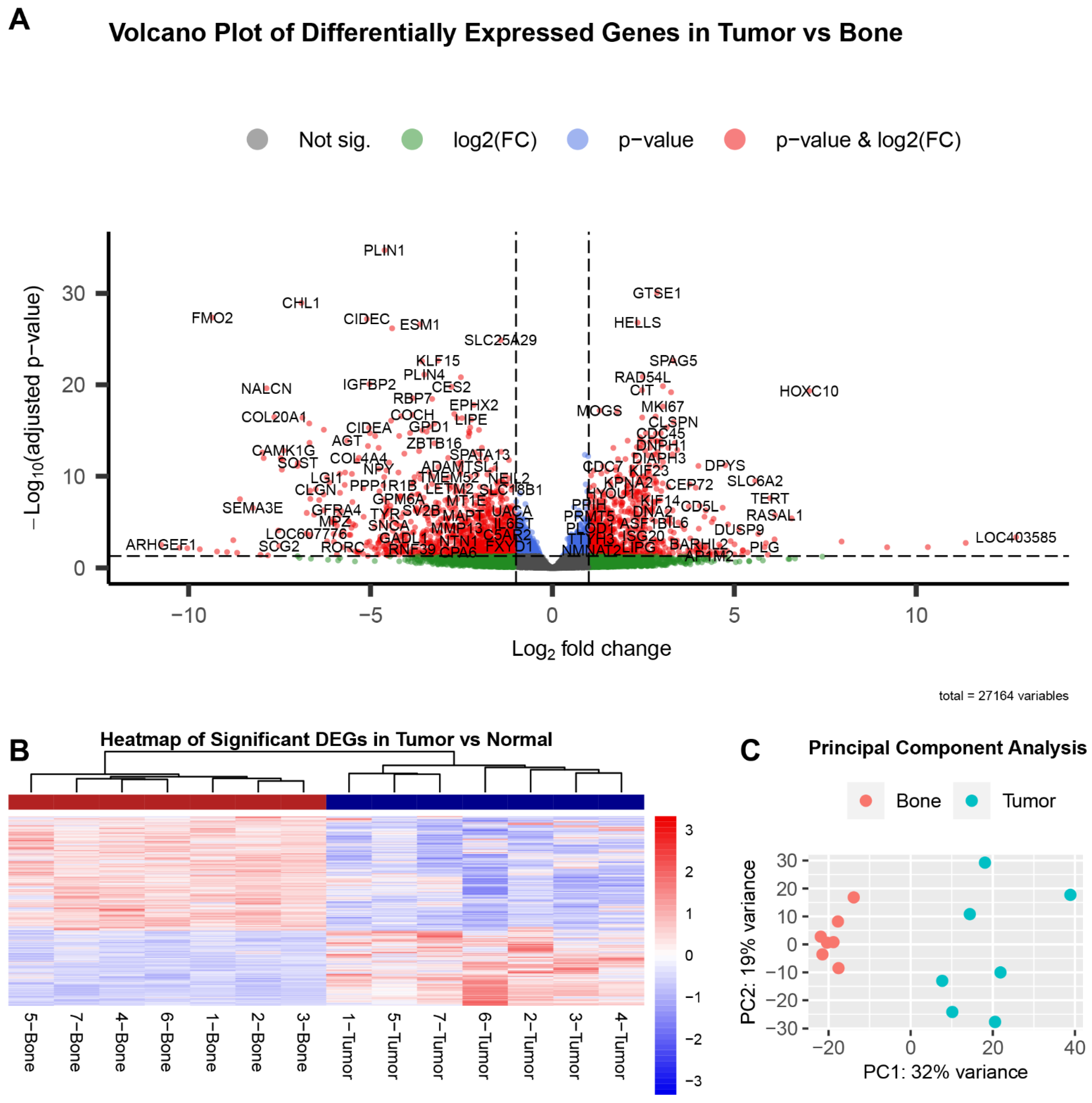 Genes 13 00680 g002 Genes 13 00680 g002