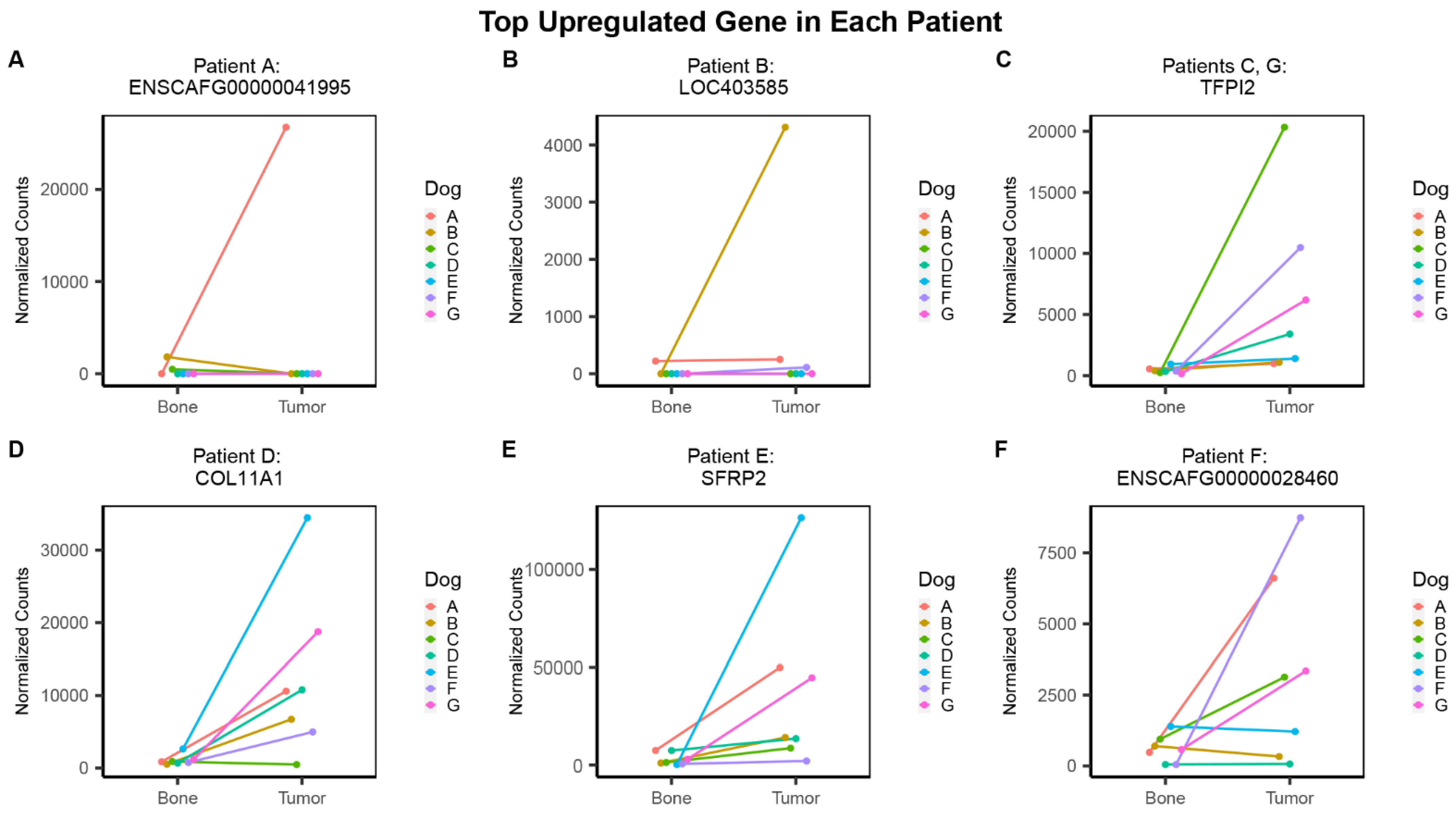 Genes 13 00680 g005 Genes 13 00680 g005