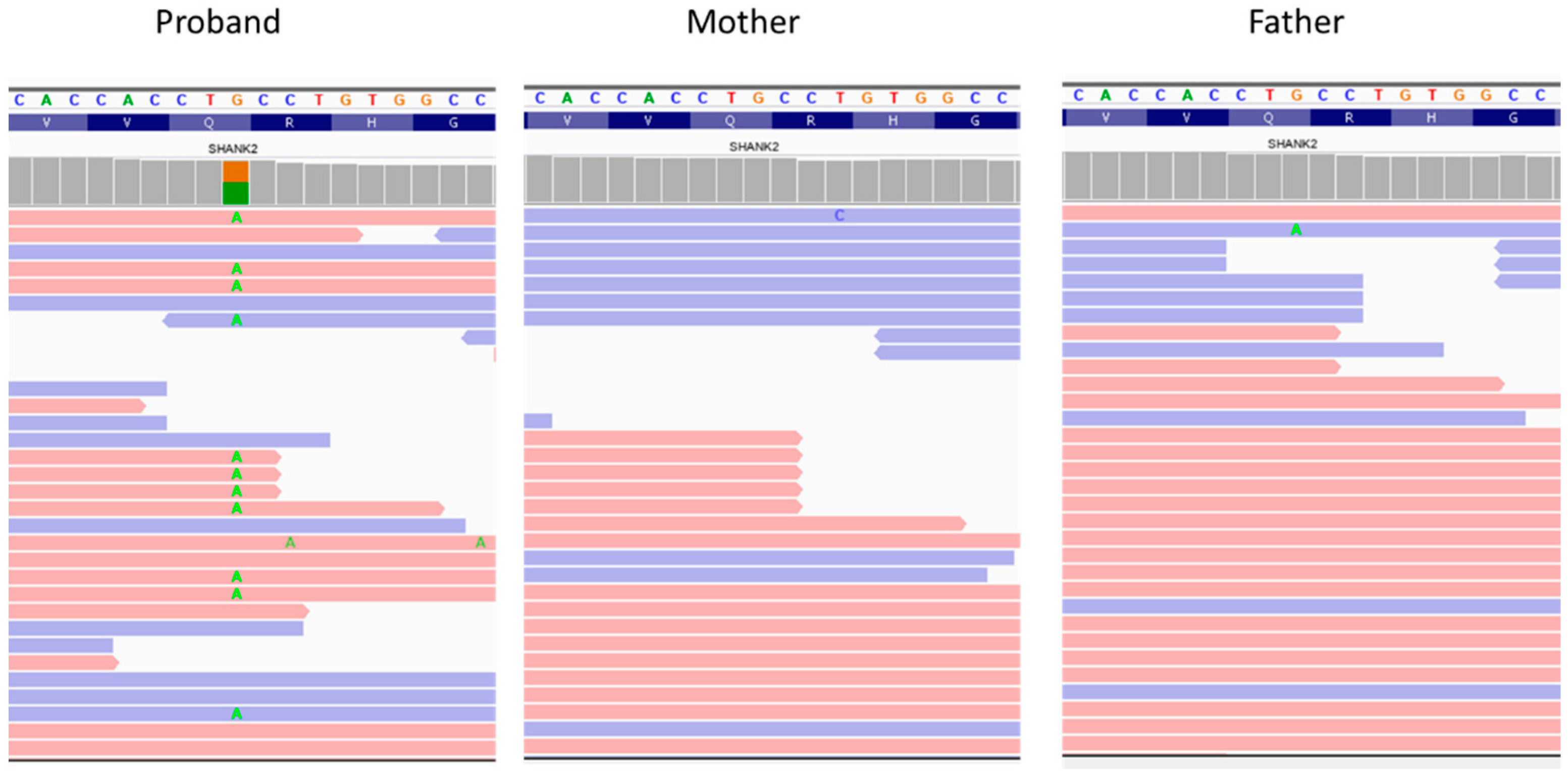 Genes 13 00688 g002 550