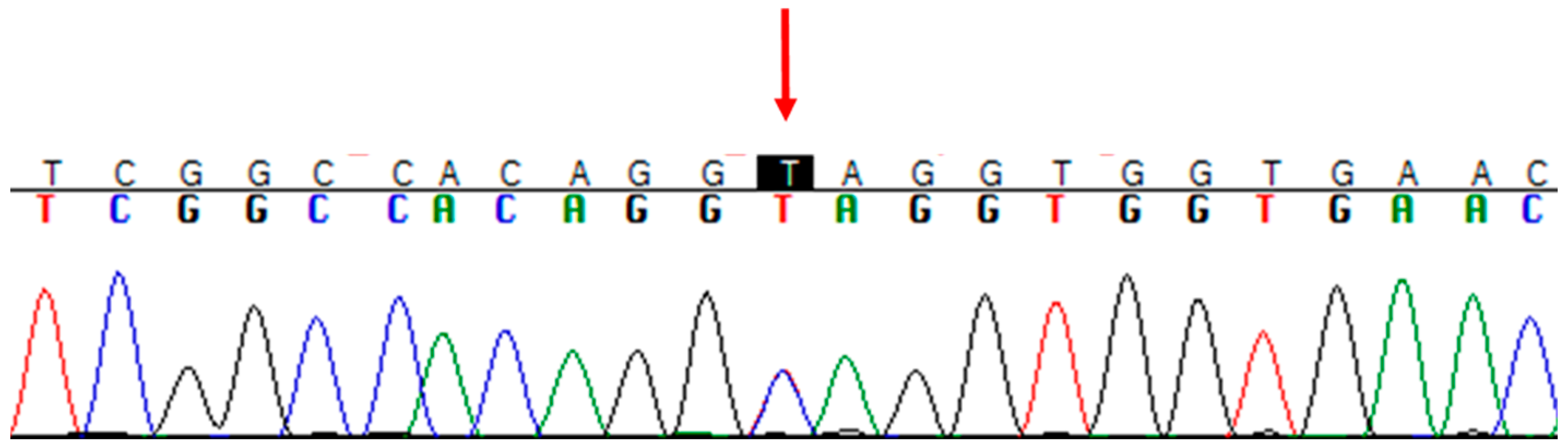 Genes 13 00688 g003 550