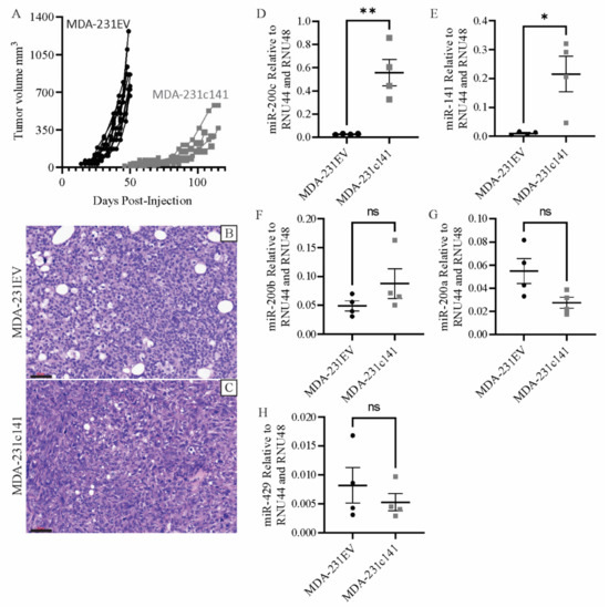 Breast Cancer: A Multidisciplinary Approach to Diagnosis and