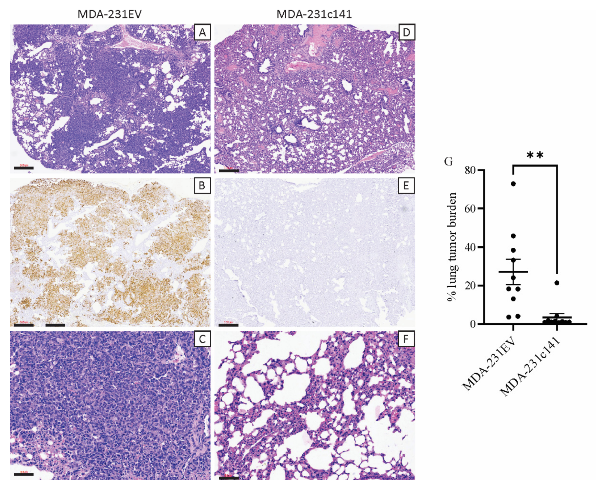 Genes 13 00691 g002 550