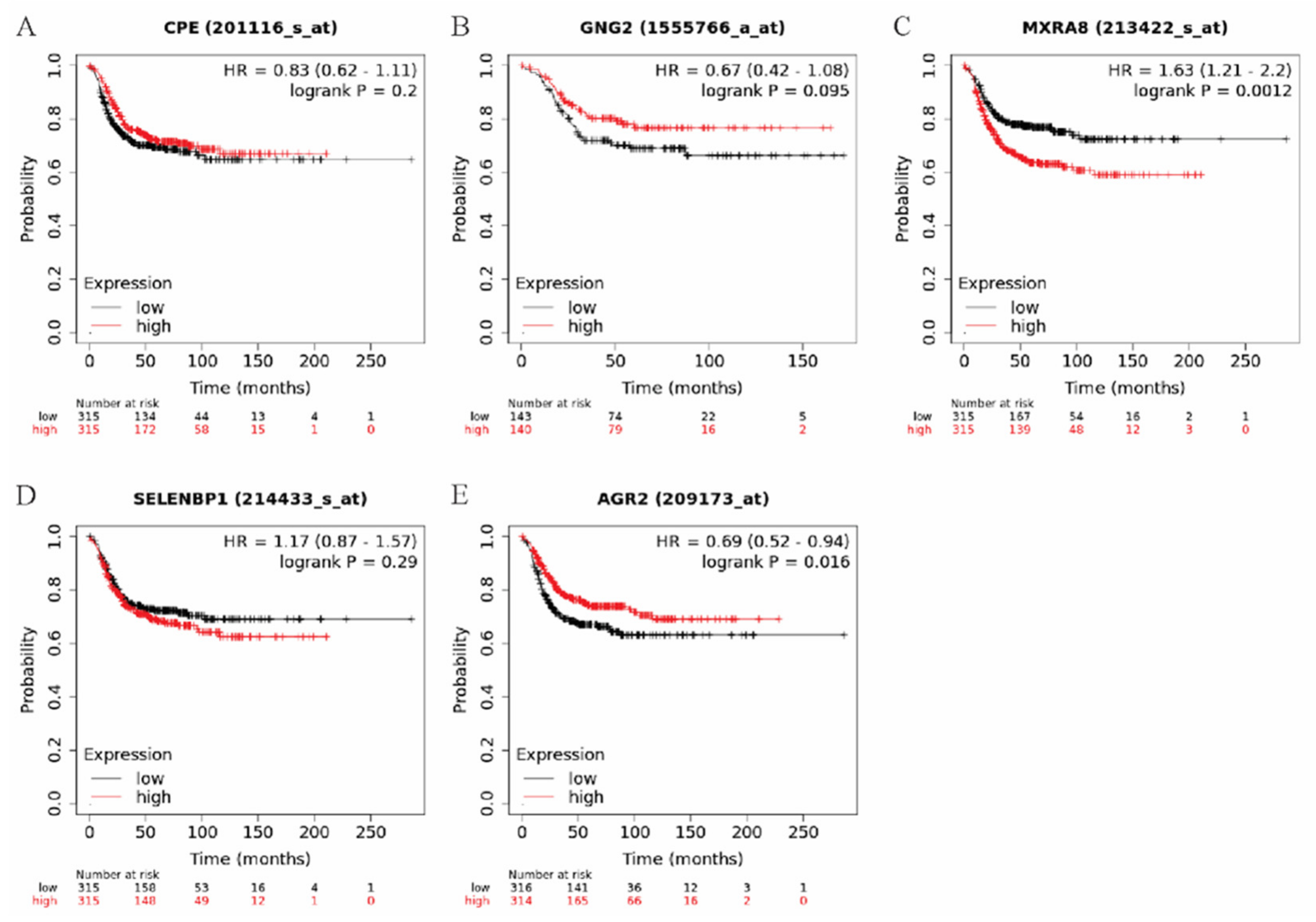 Genes 13 00691 g004 550