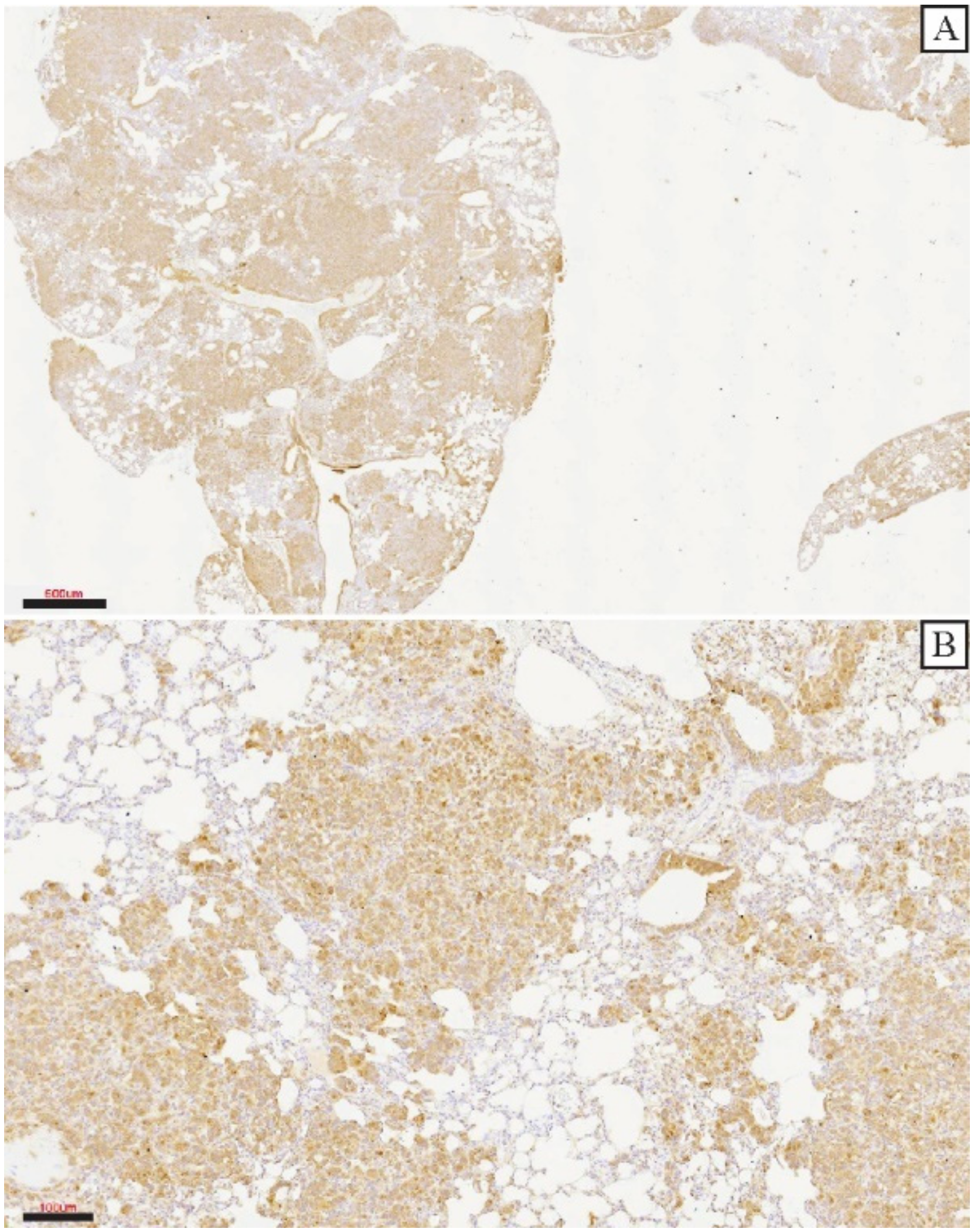 Genes 13 00691 g006 550