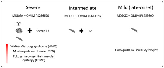 Expanding the Phenotype of B3GALNT2-Related Disorders