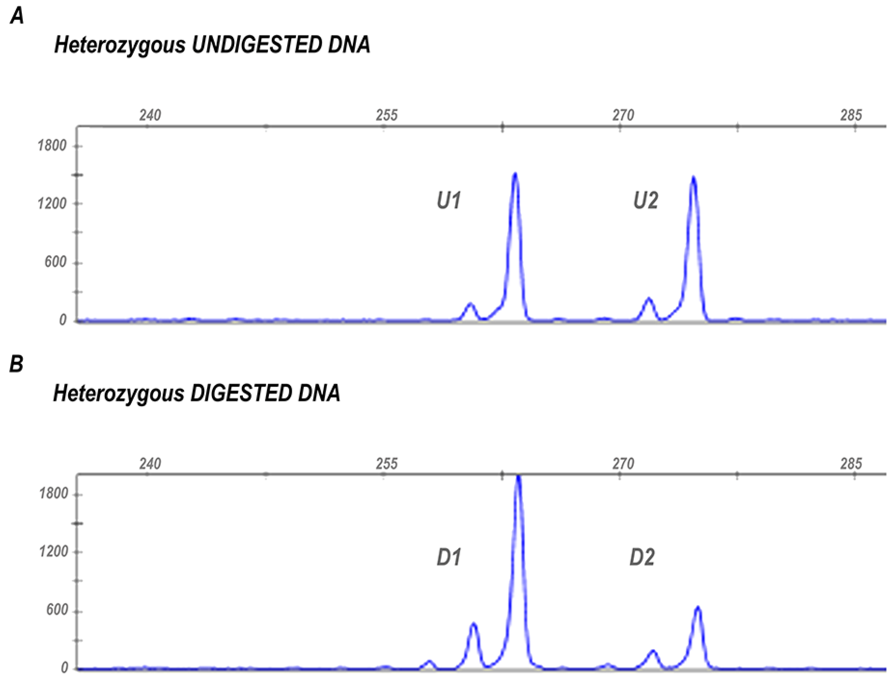 Genes 13 00696 g001 Genes 13 00696 g001