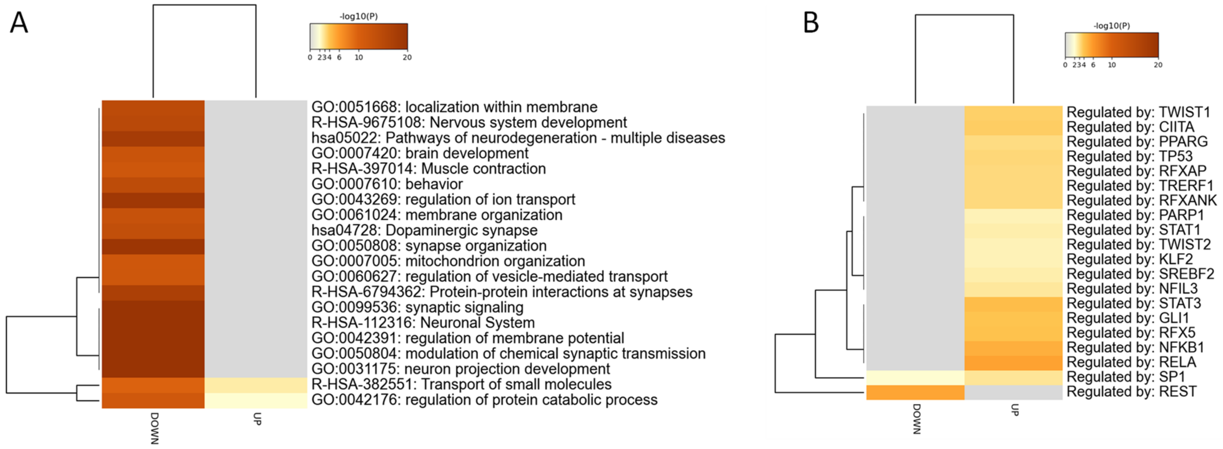 Genes 13 00703 g002
