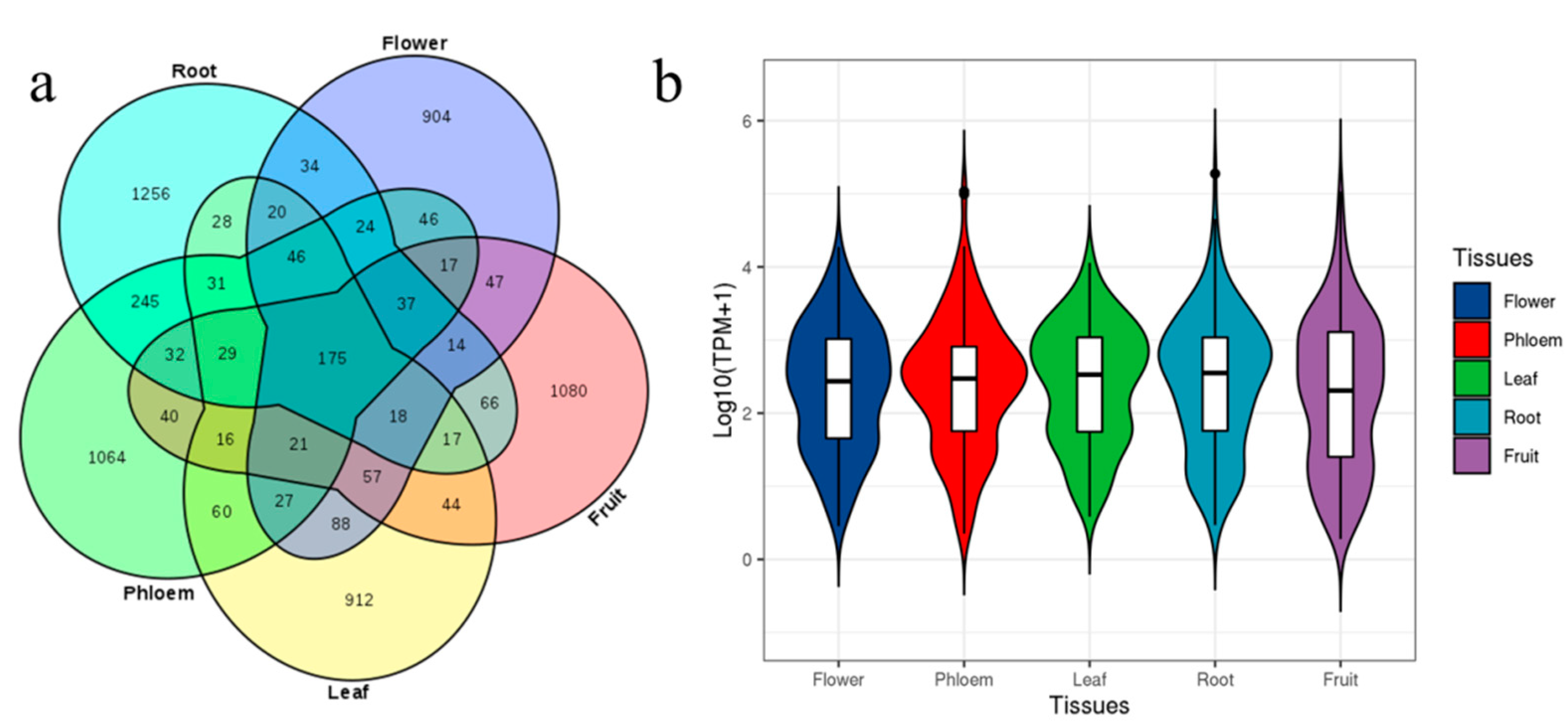 Genes 13 00712 g003 550