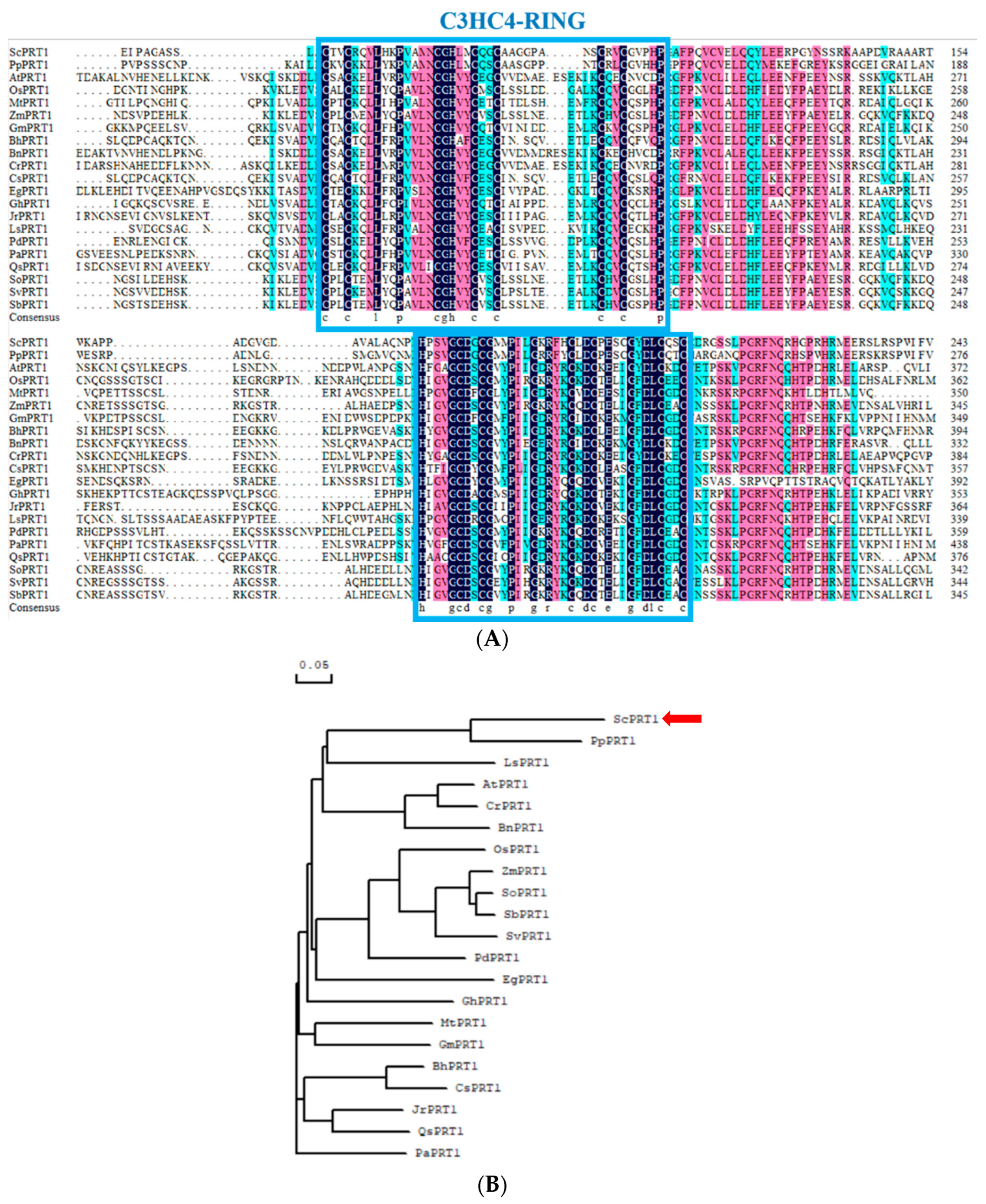 Genes 13 00718 g001 Genes 13 00718 g001