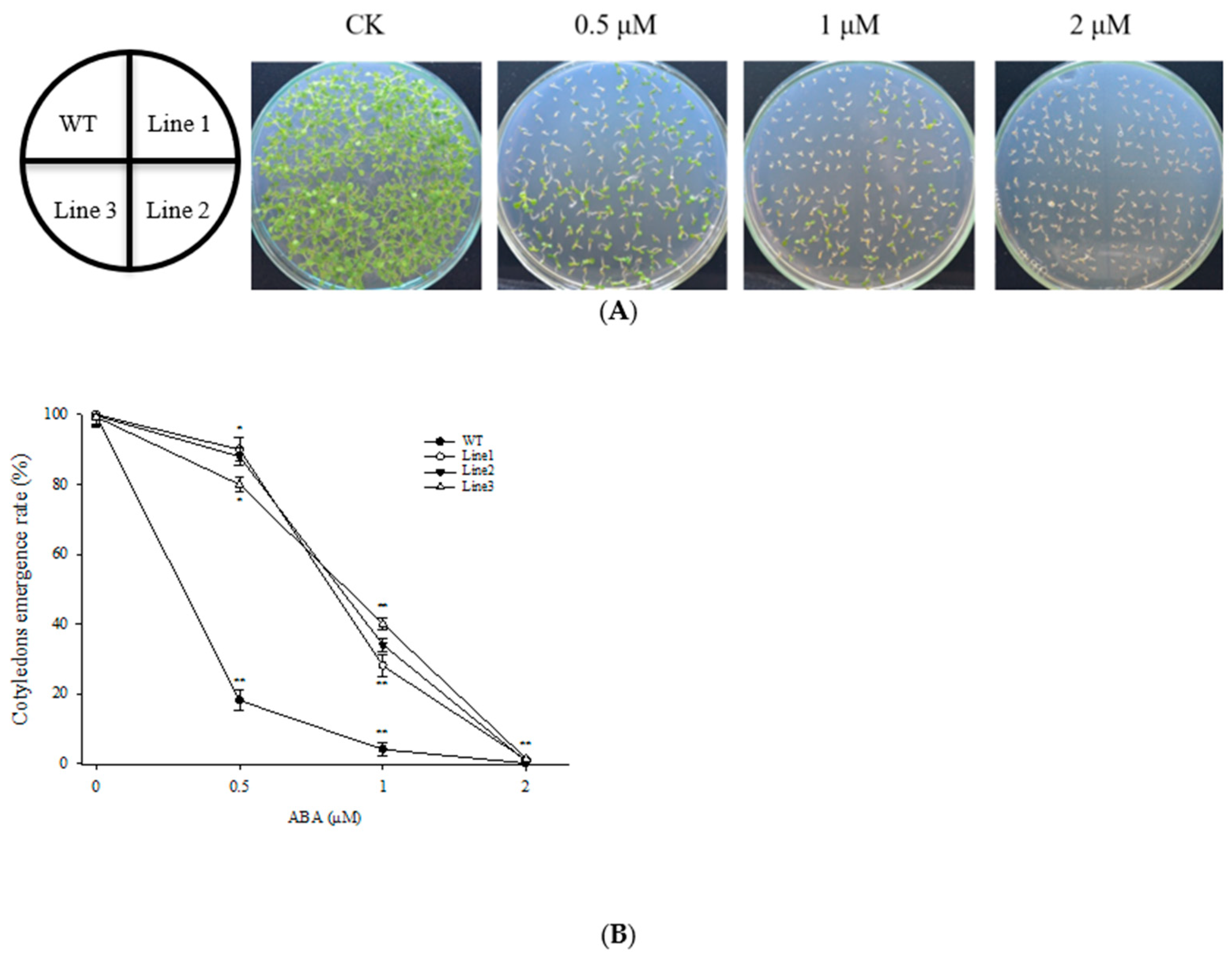 Genes 13 00718 g002 Genes 13 00718 g002