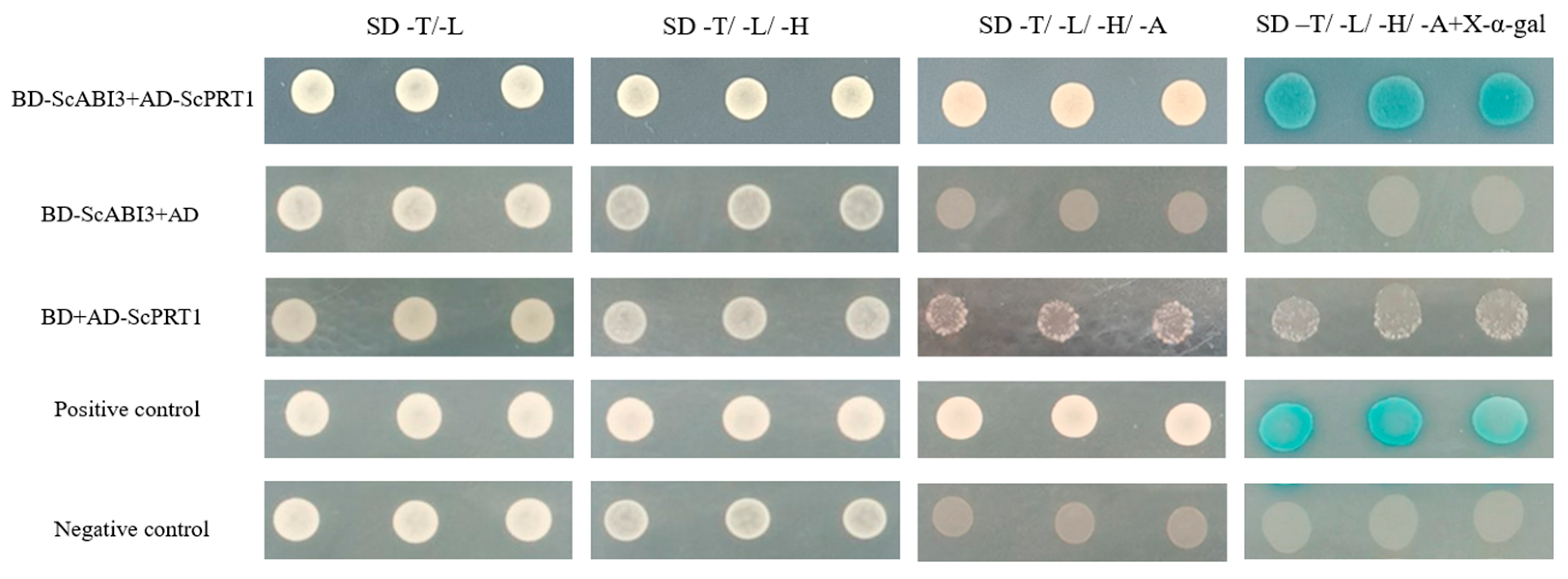 Genes 13 00718 g003 Genes 13 00718 g003