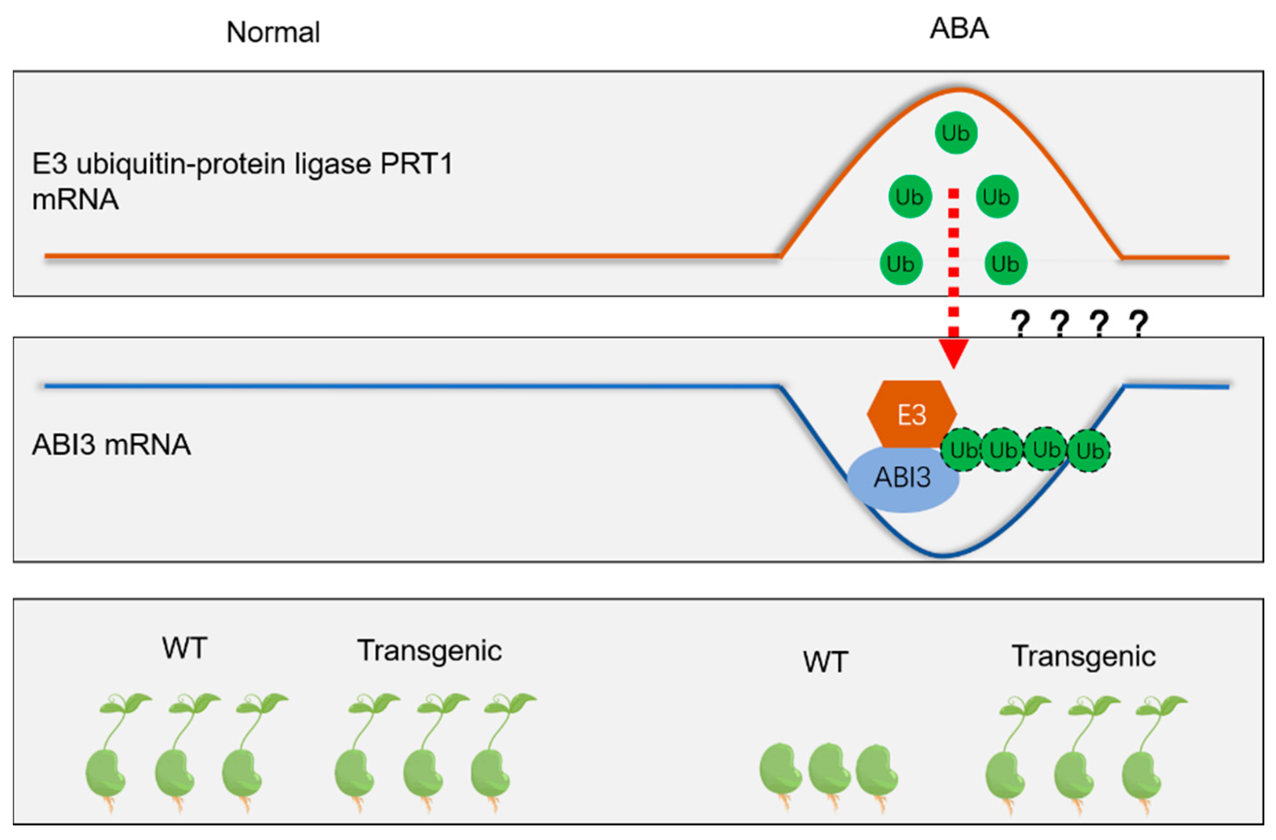 Genes 13 00718 g007 Genes 13 00718 g007