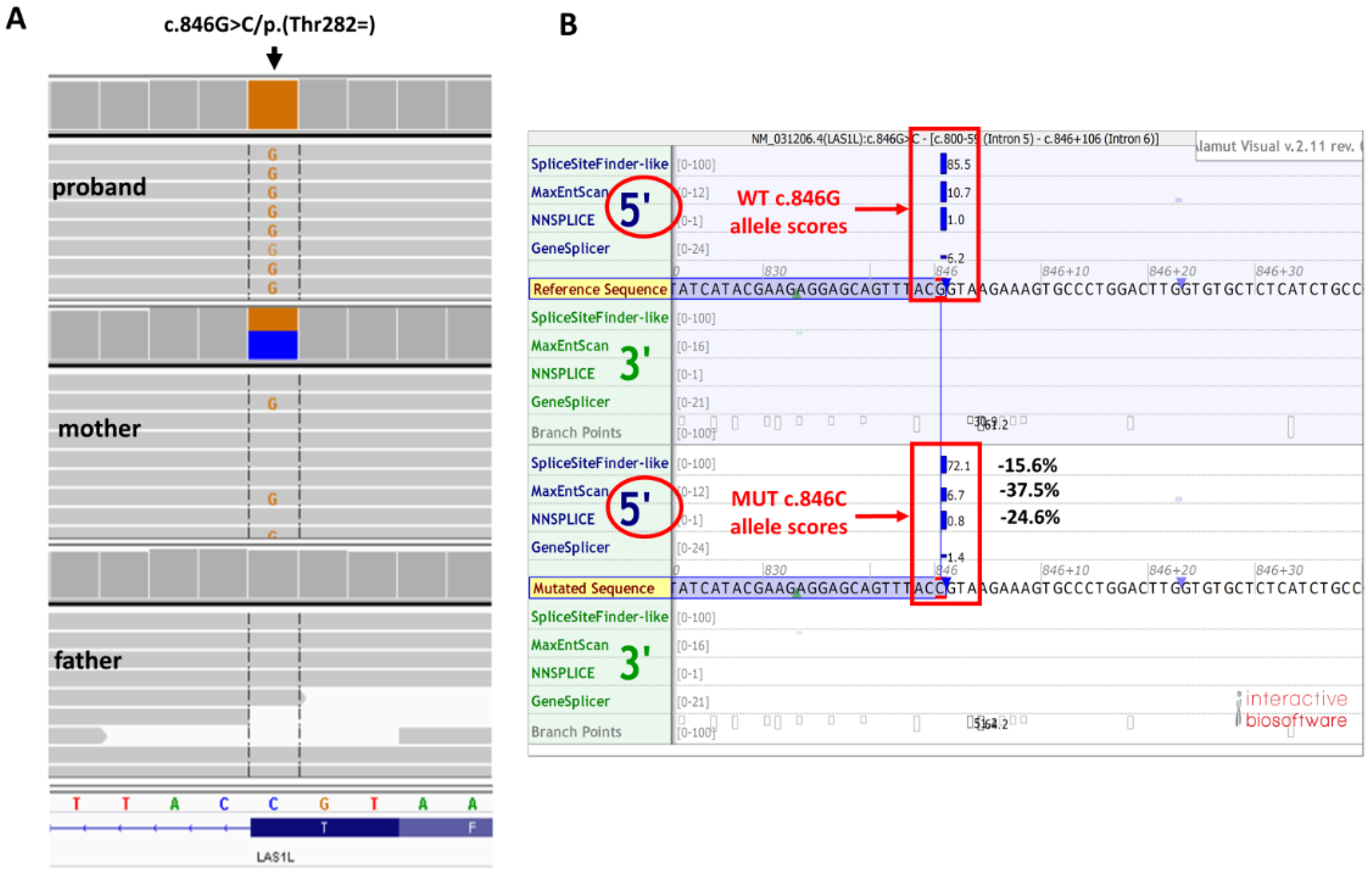 Genes 13 00725 g001 550